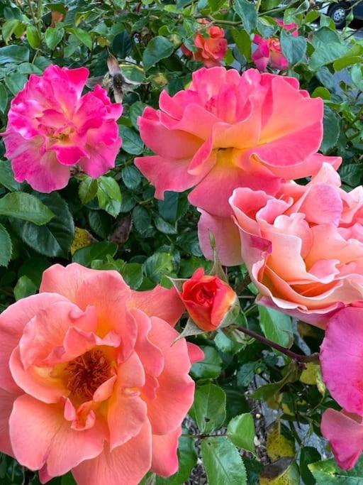 other