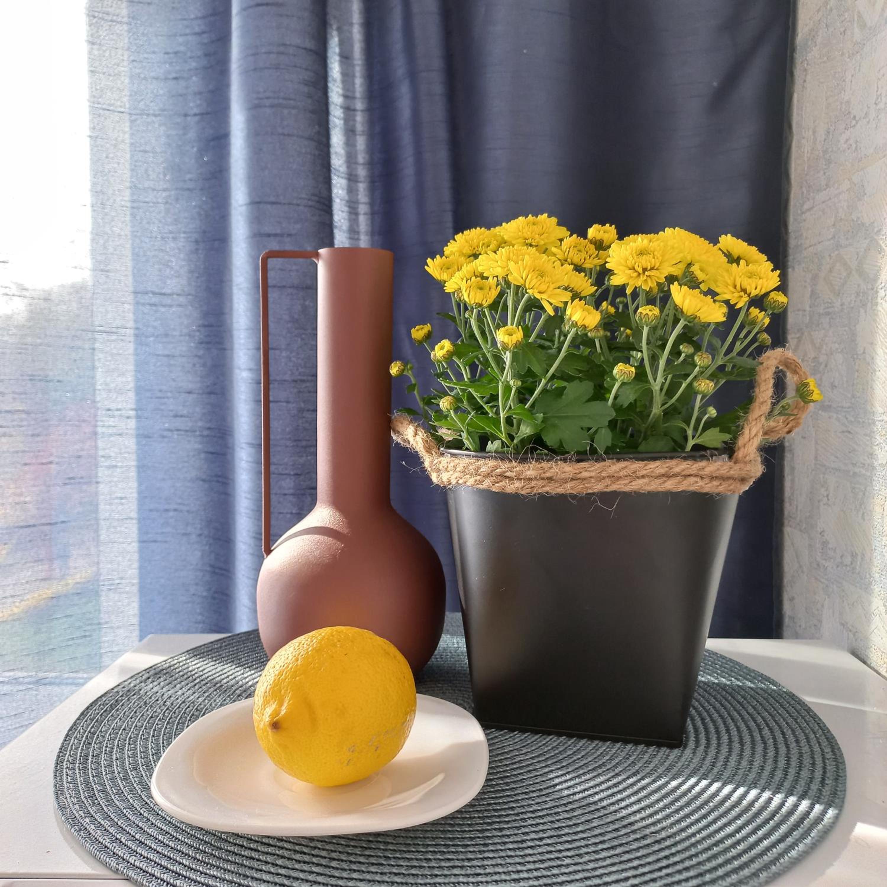 Narva Relax Apartment view 5