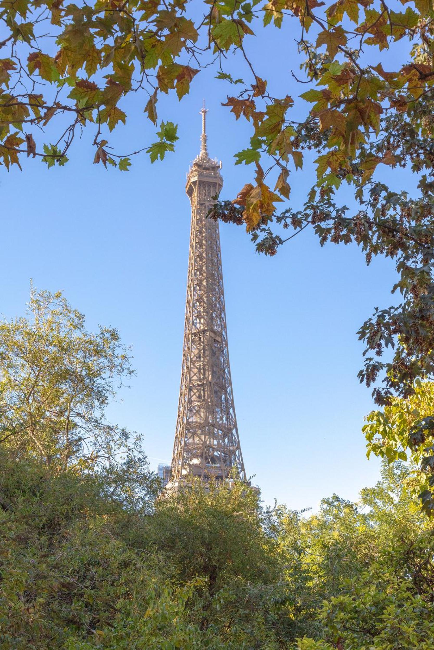 Champs de Mars Appartement