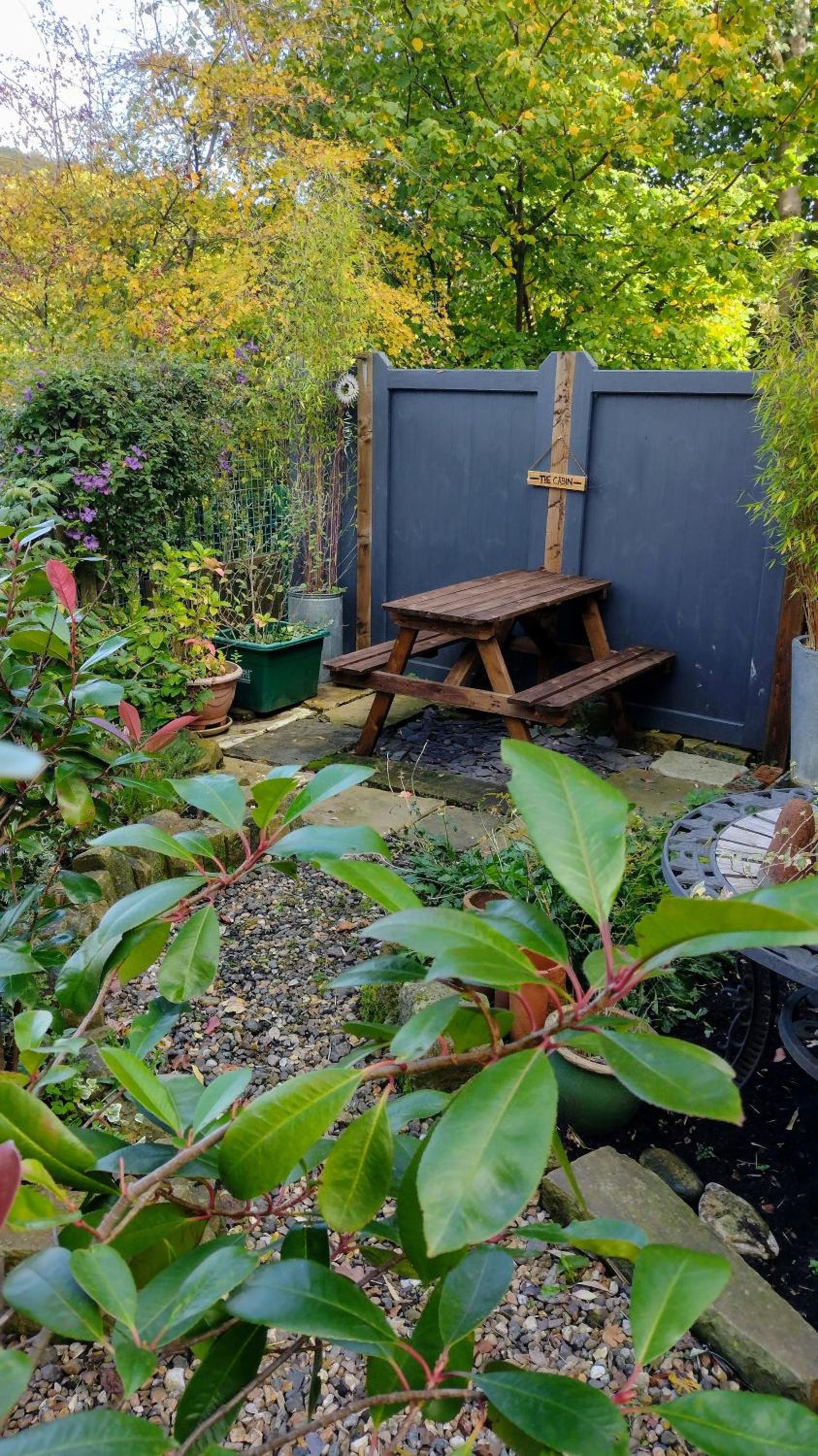 Photo 19