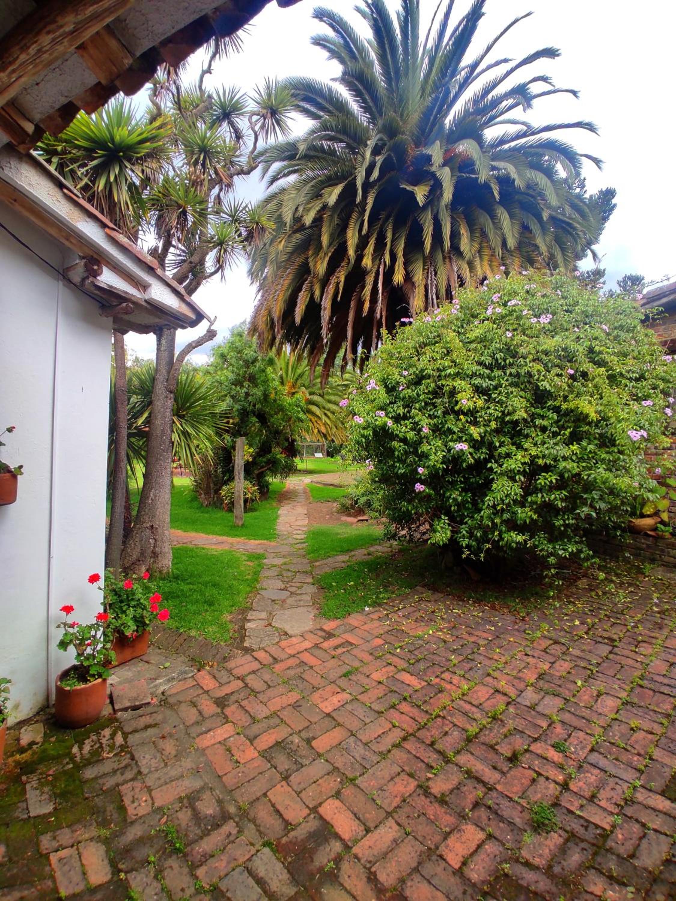 Photo 49