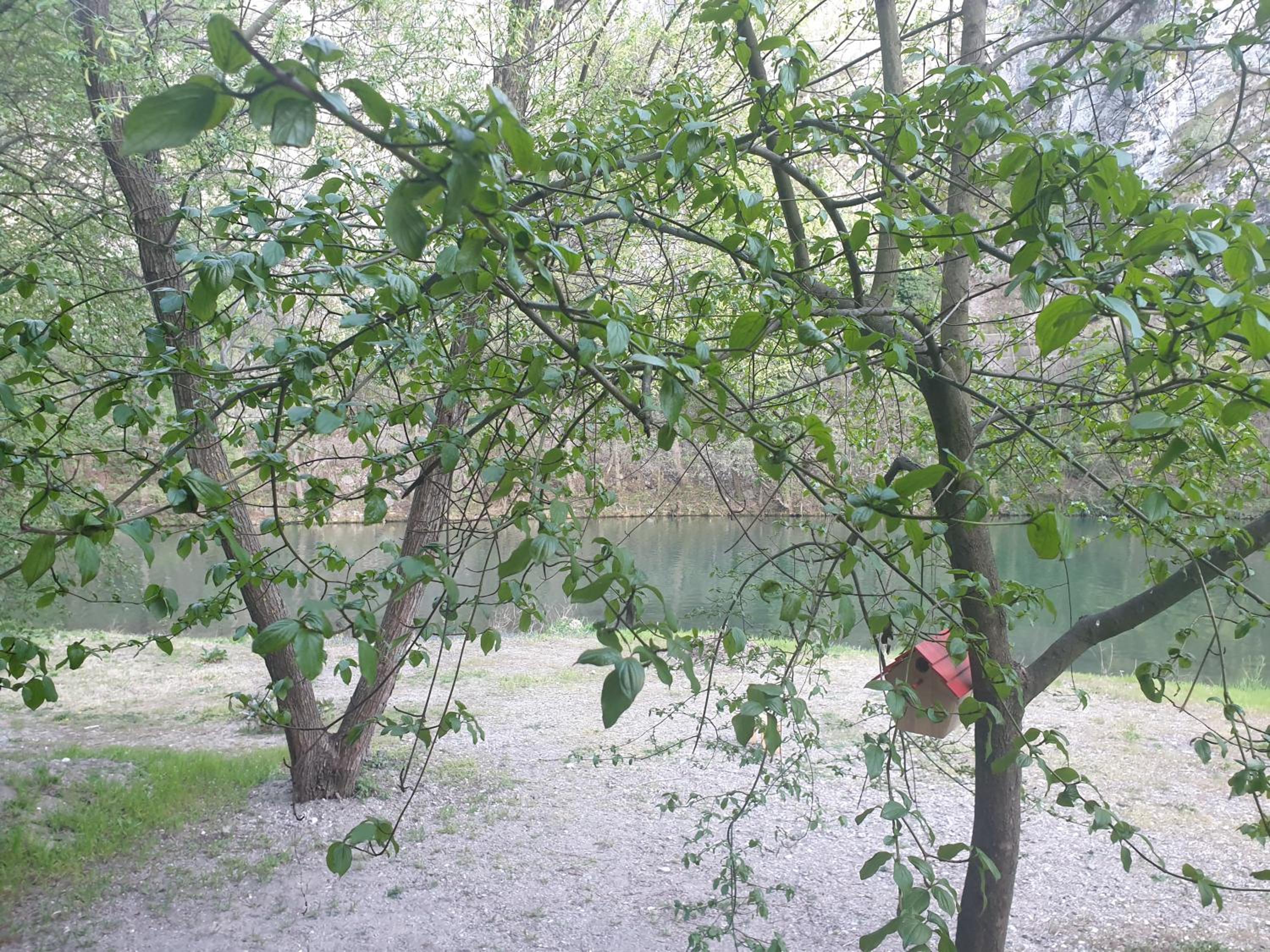 Ovčar Banja