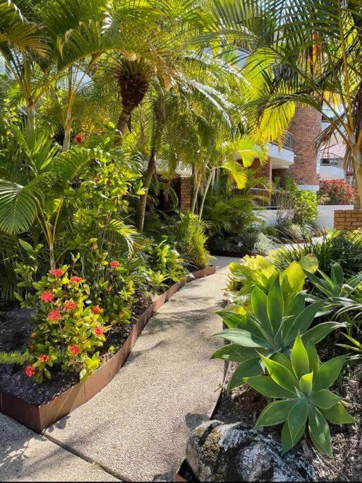 Surfrider - Beach front apartment with pool