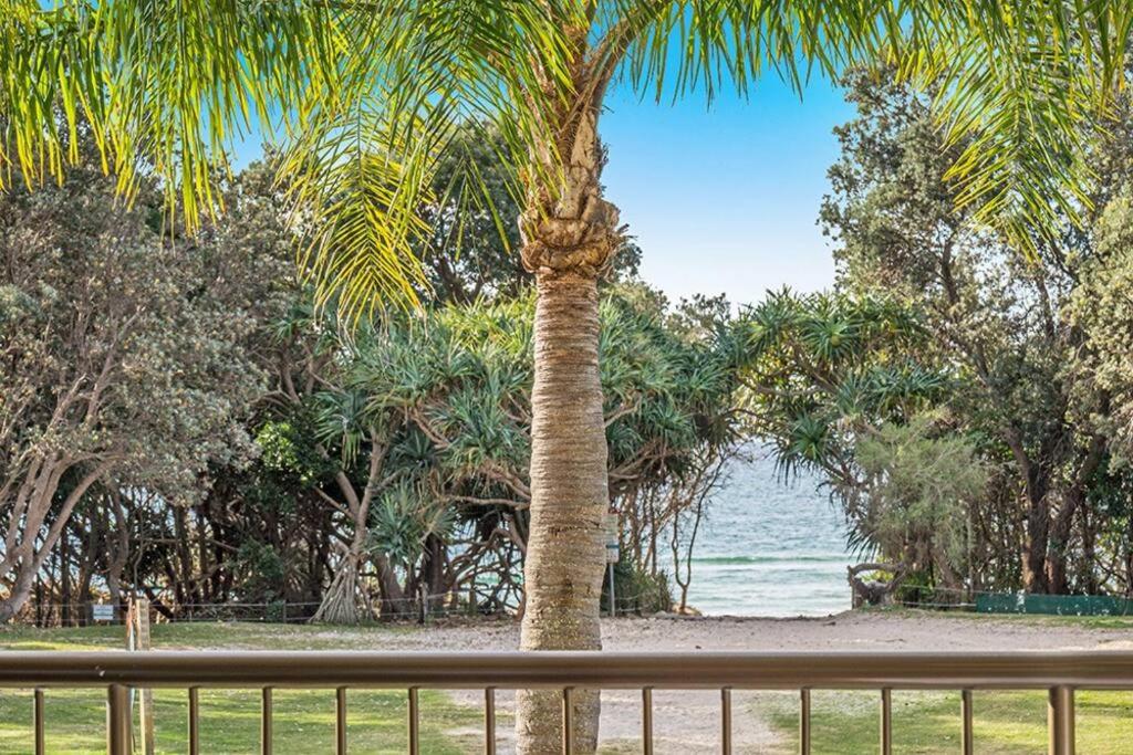 Castaway opposite Clarkes Beach