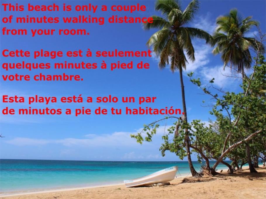 Jungle Hut near Beach - Nature Lovers view 4