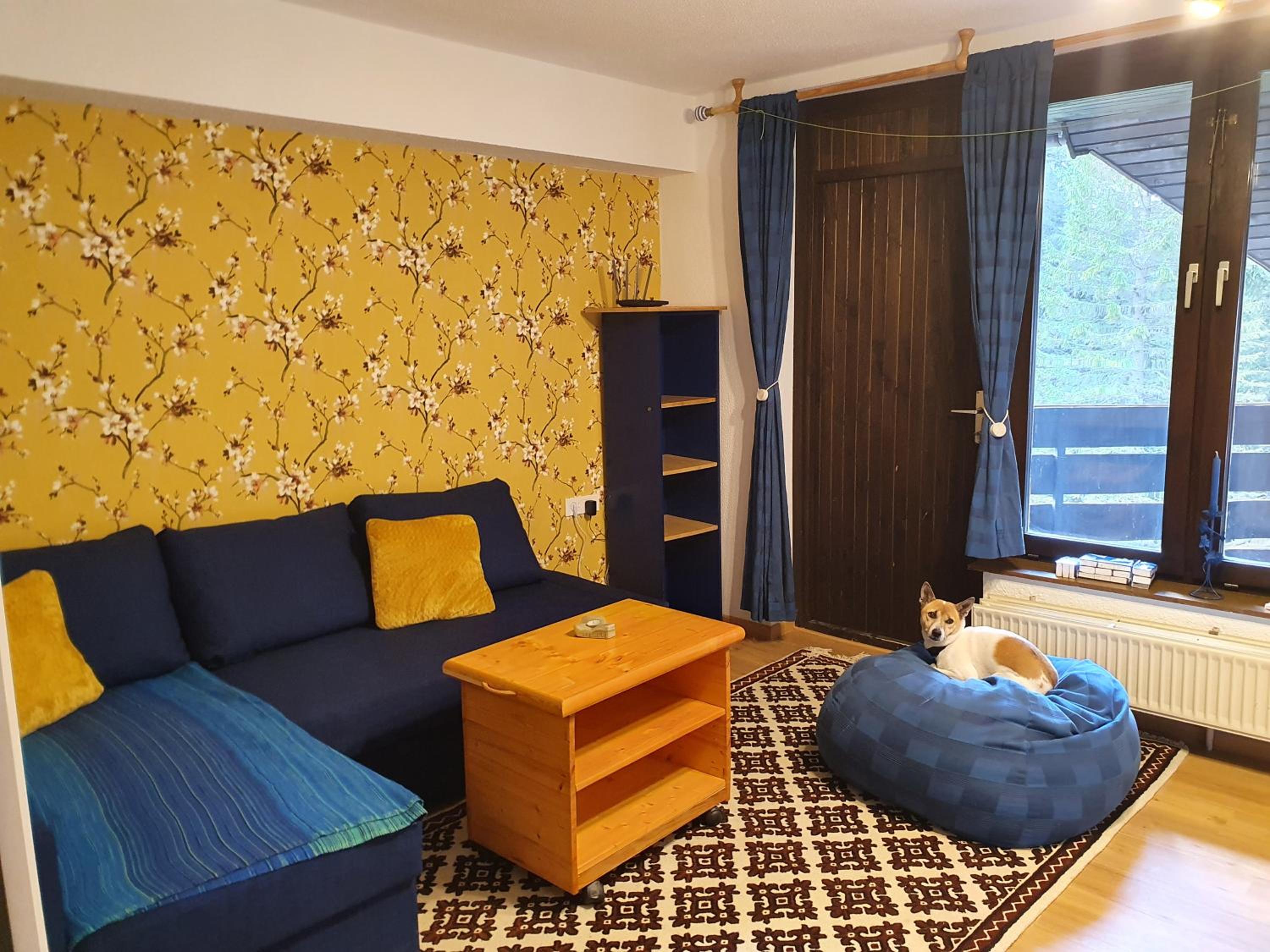 M & M apartment Krvavec view 5