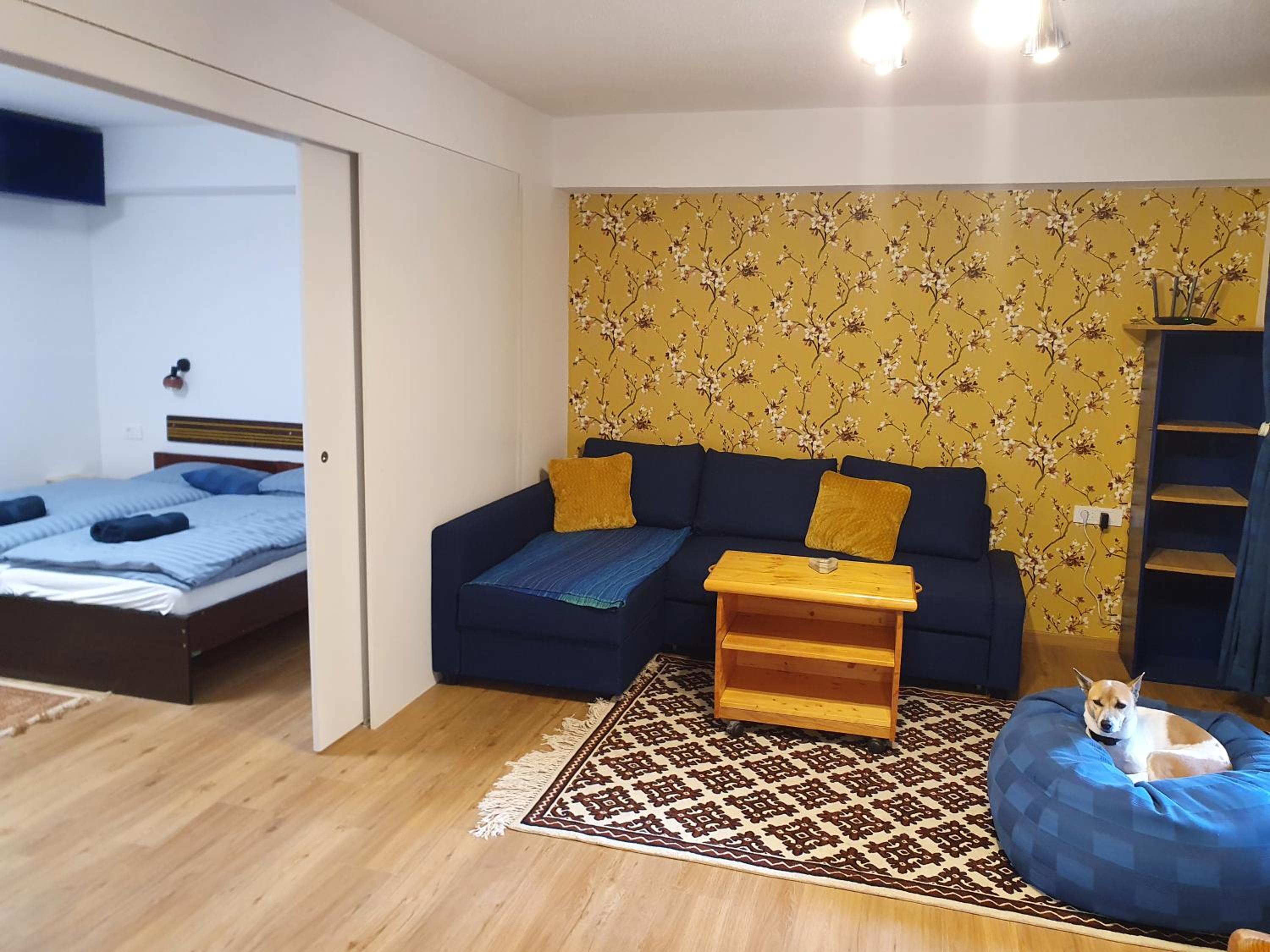 M & M apartment Krvavec view 4