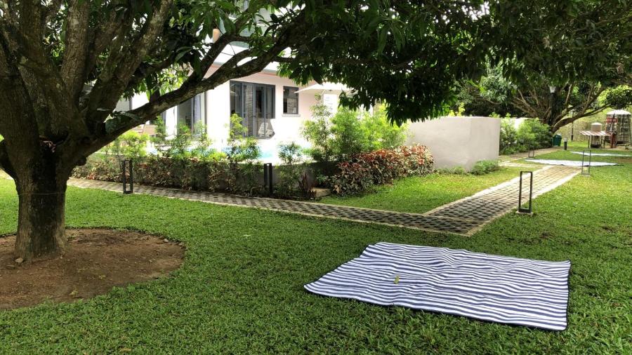 Mangolia Farm view 5