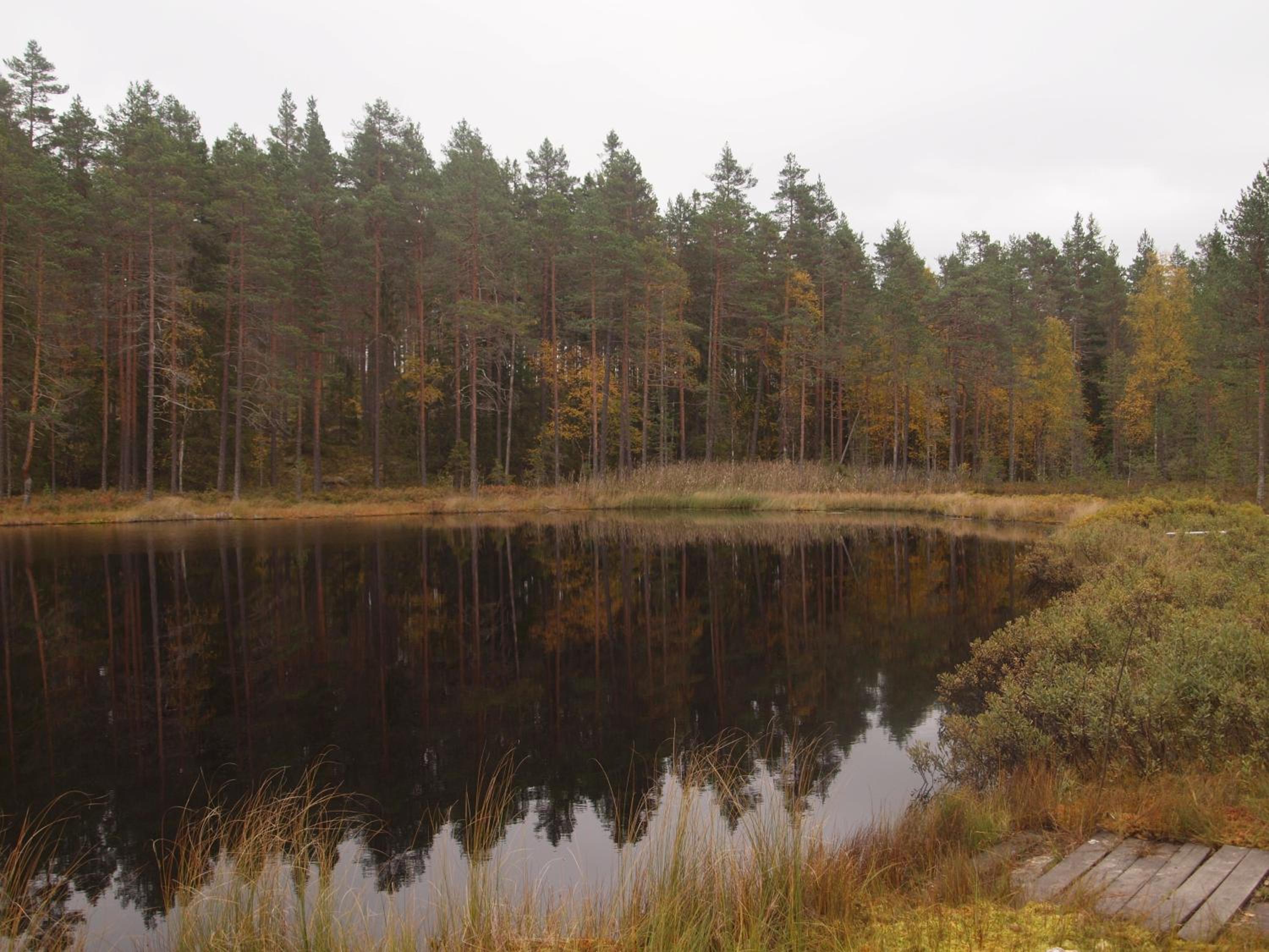 Photo 41