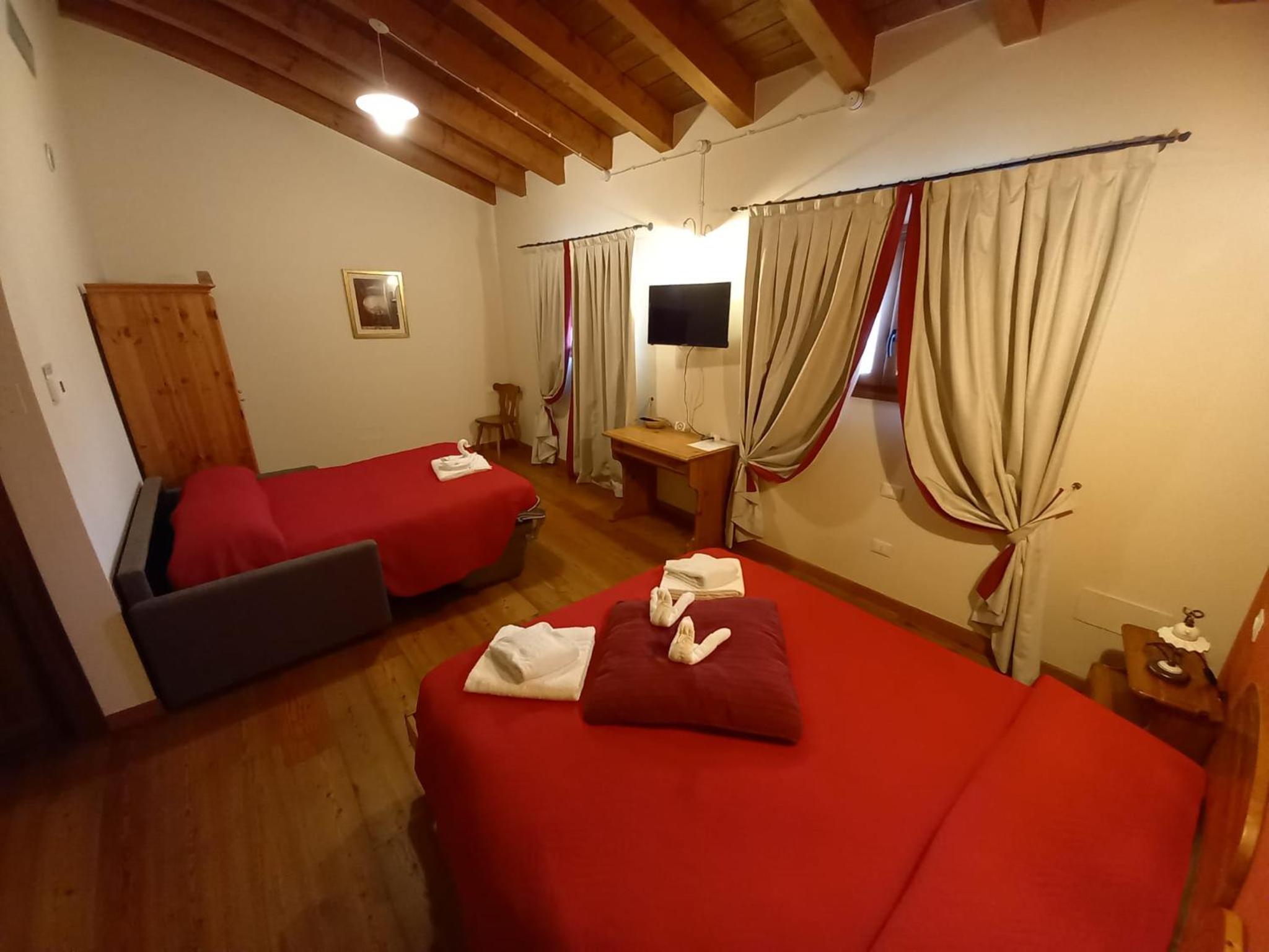 La corte dell'ulivo