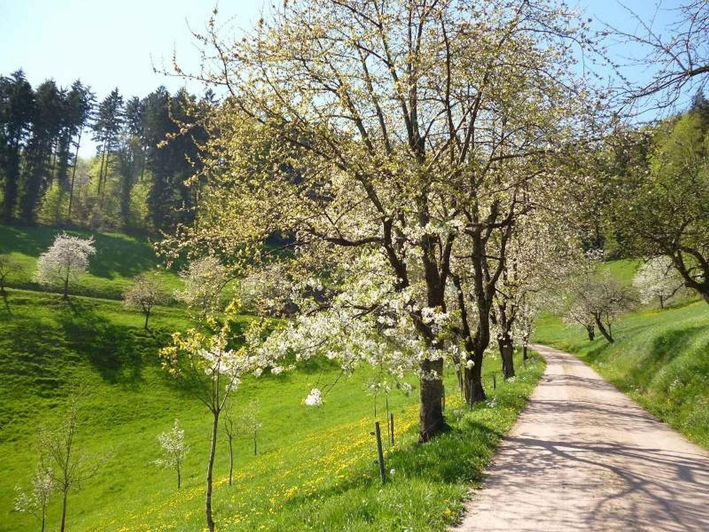 Eisenmannhof