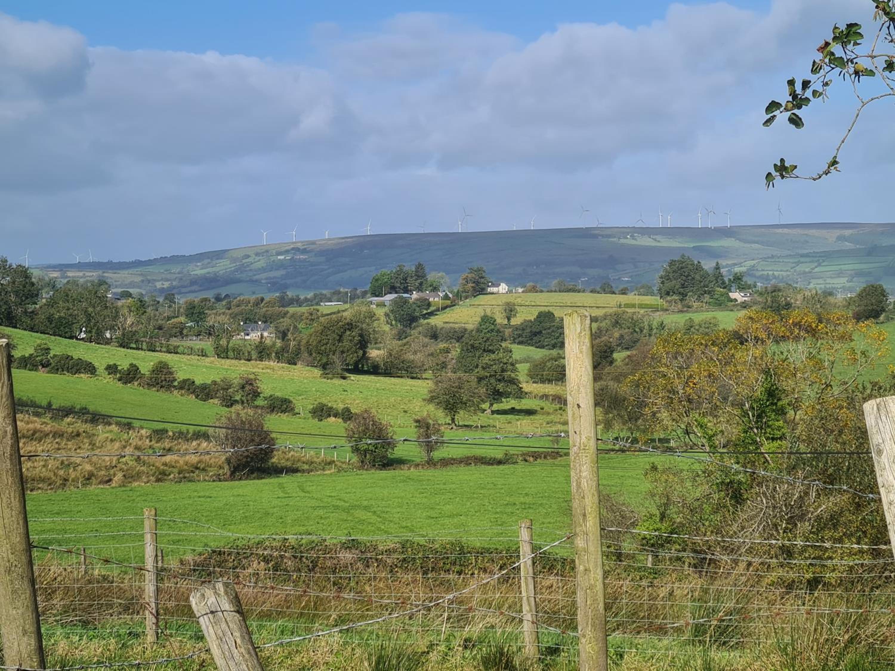 3 bedroom detached bungalow view 4