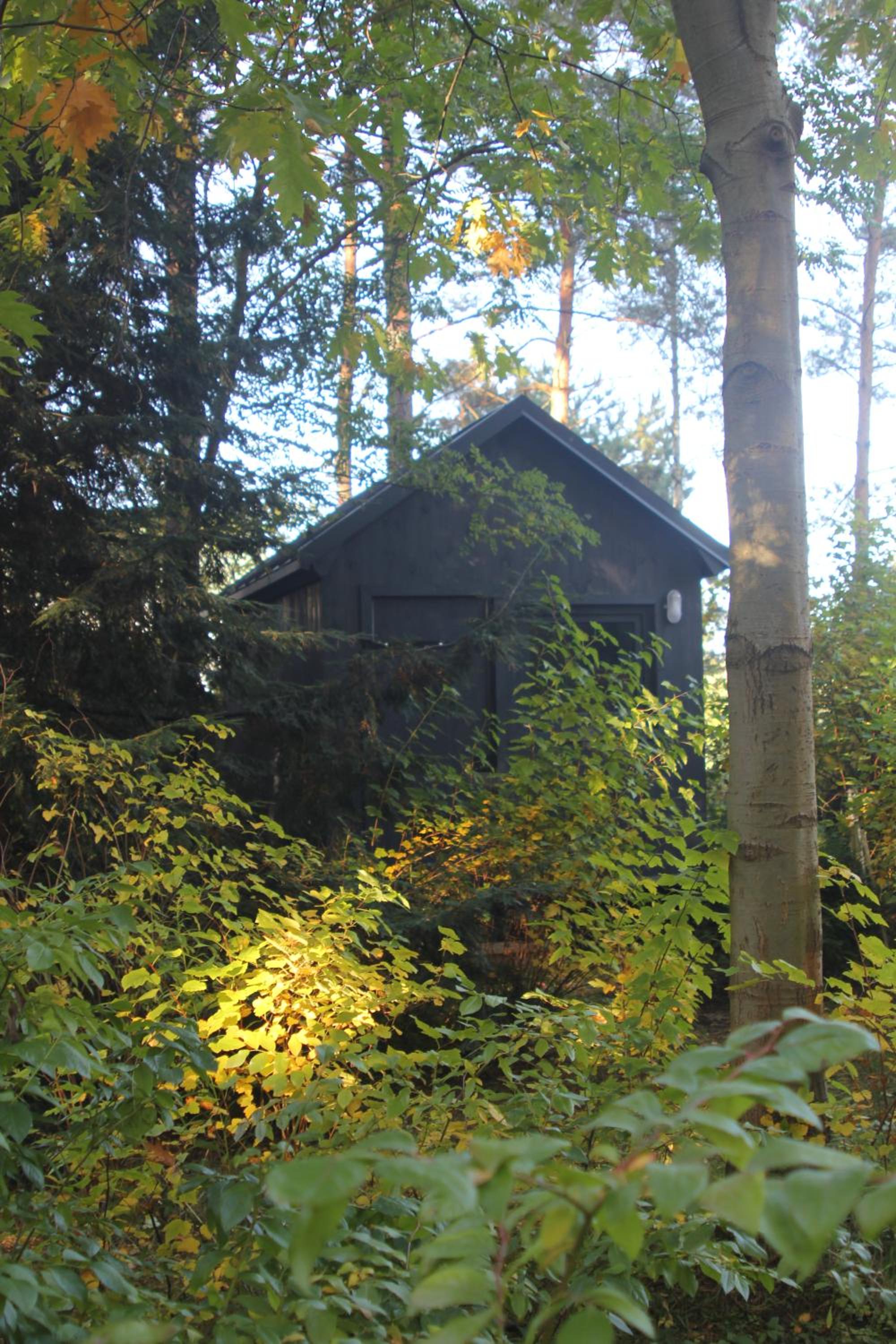 Photo 16