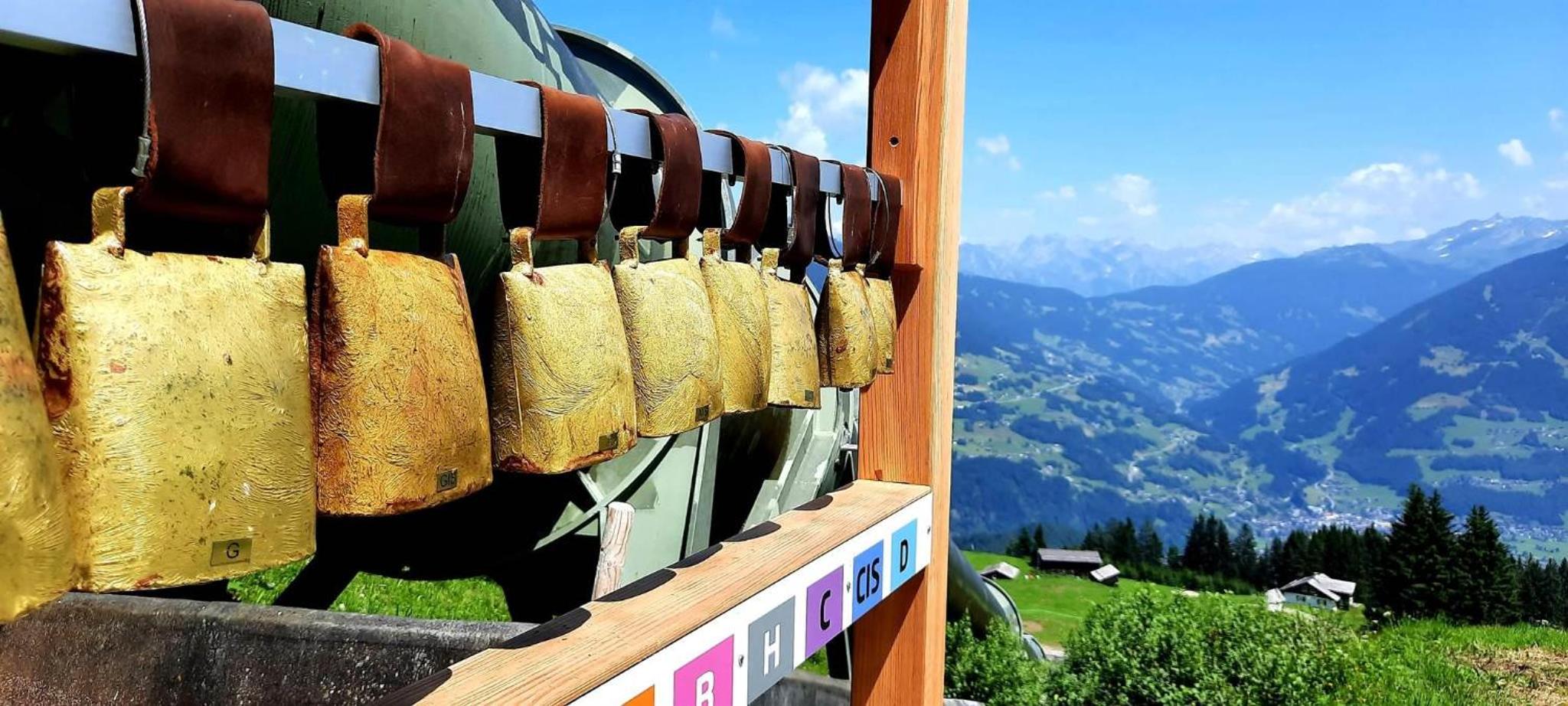 Alpenblühn Appartements Tschagguns view 5