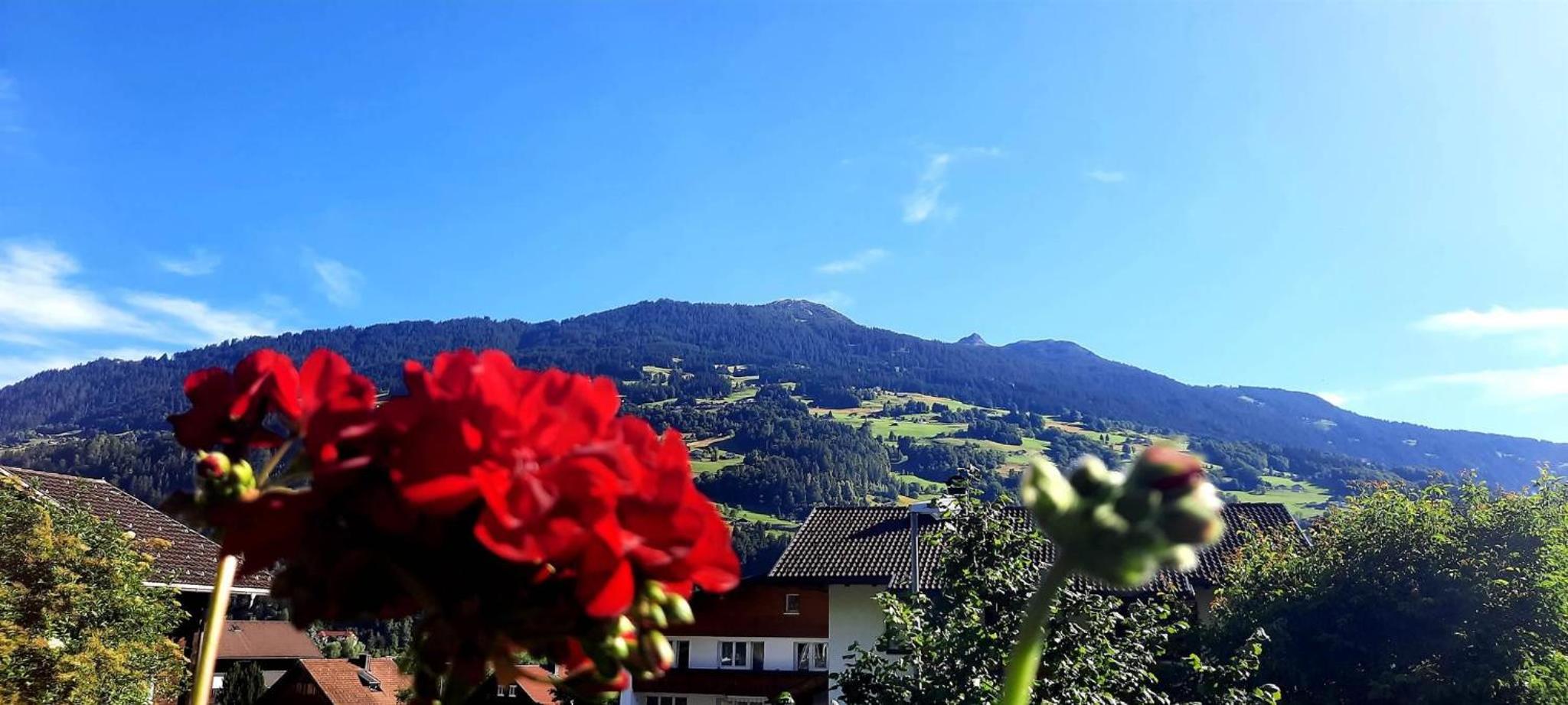 Alpenblühn Appartements Tschagguns view 4