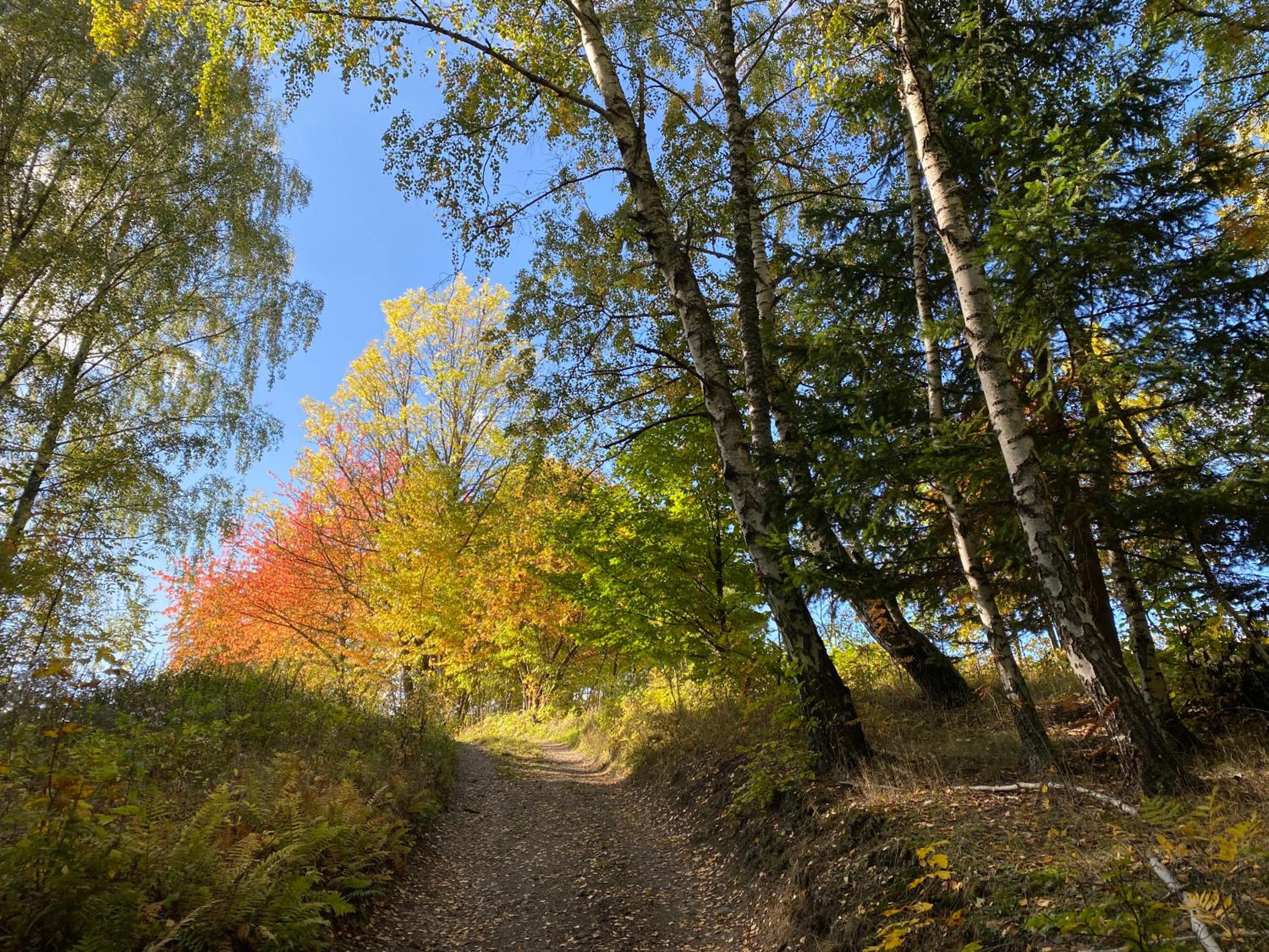 Apartmán HYGGE Bratrouchov