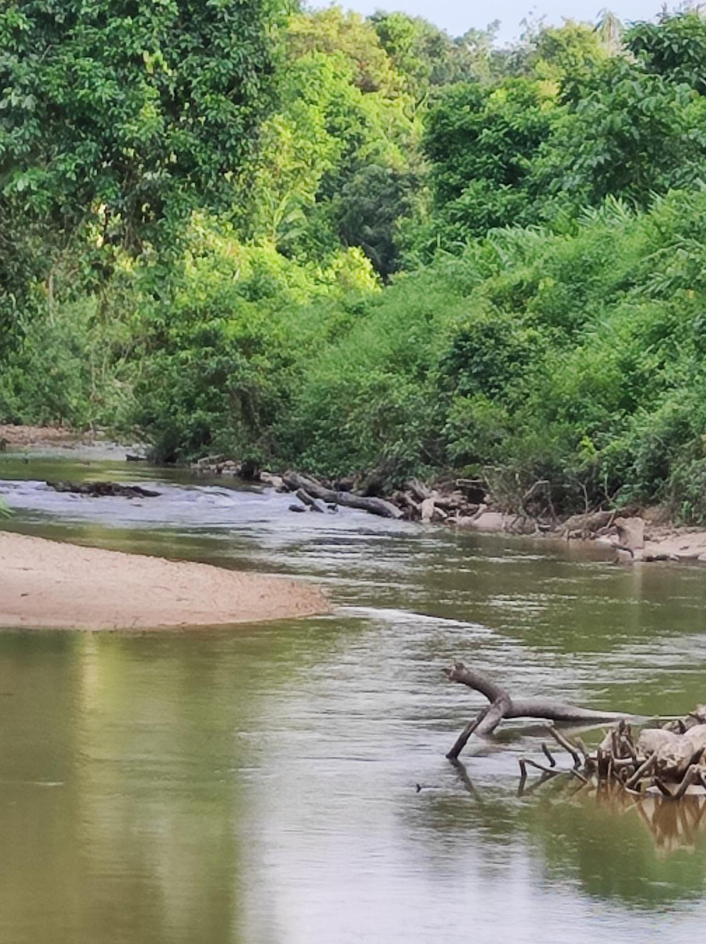 CTZ PAROH RIVER PARK photo 5