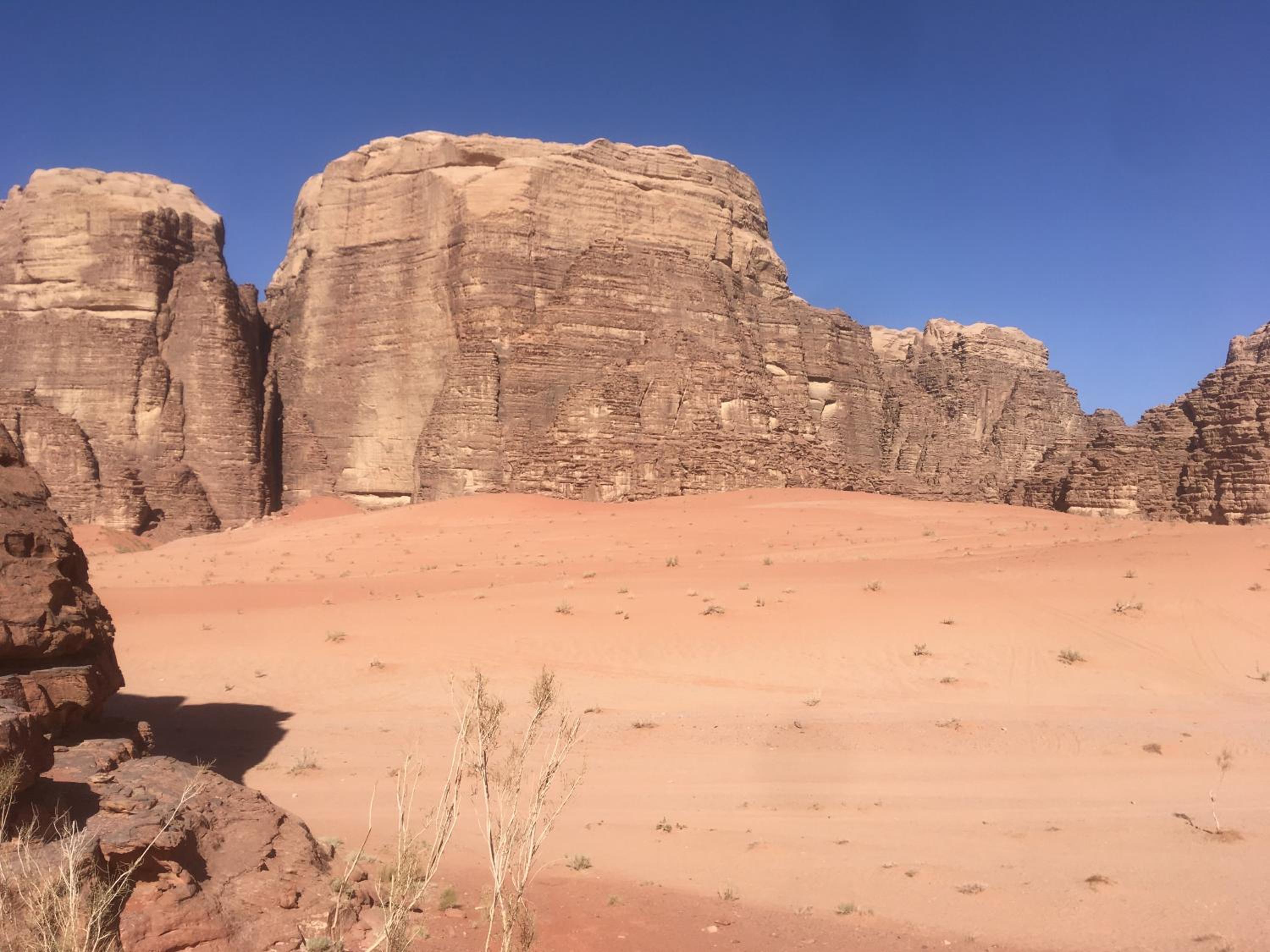 Photo 107