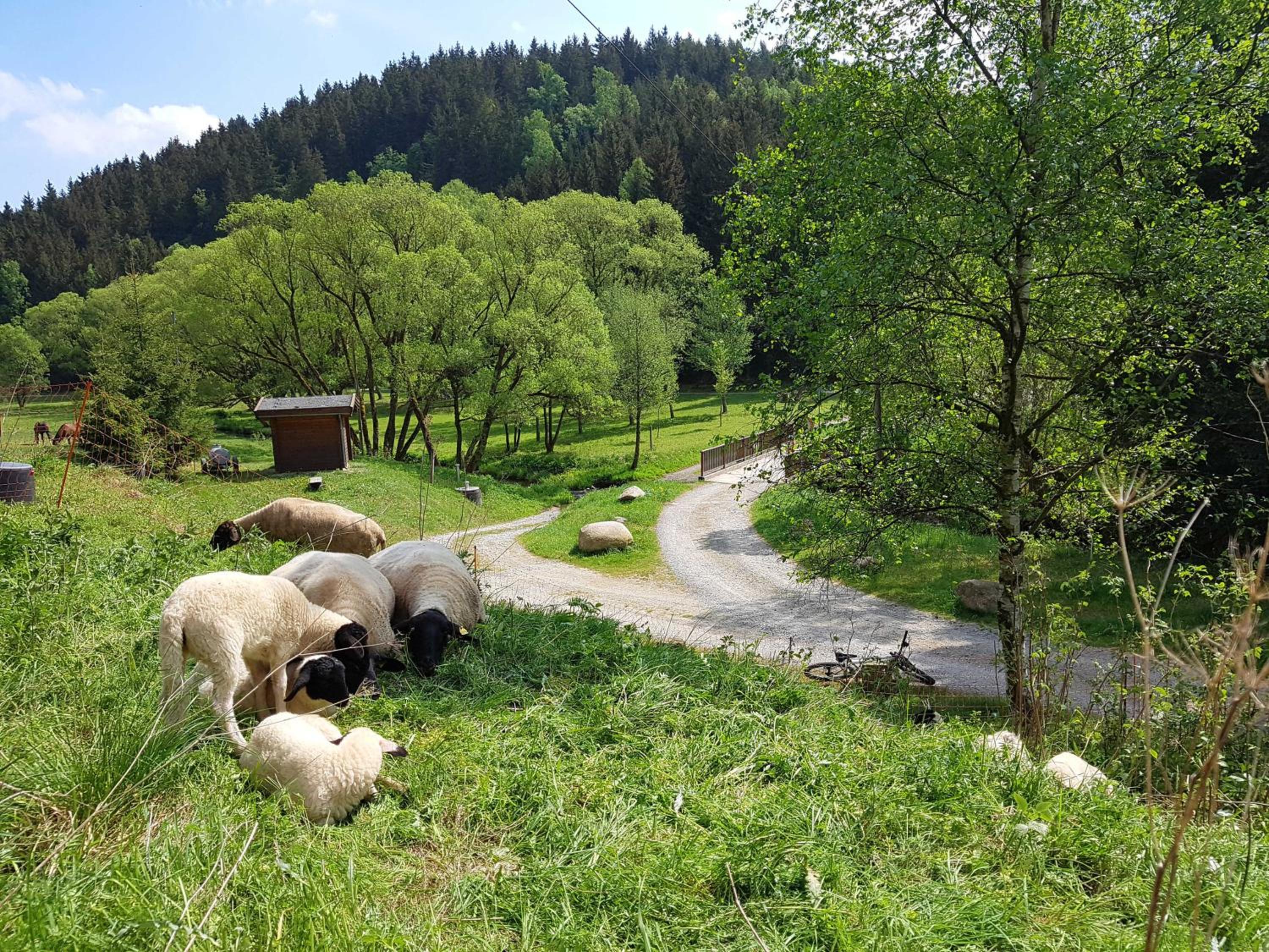 Ferienbungalow