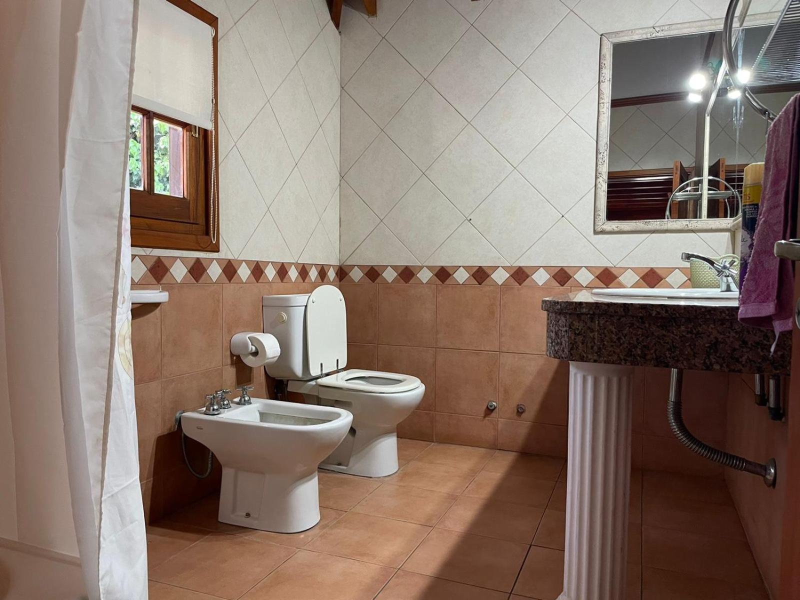 Artech Cabaña