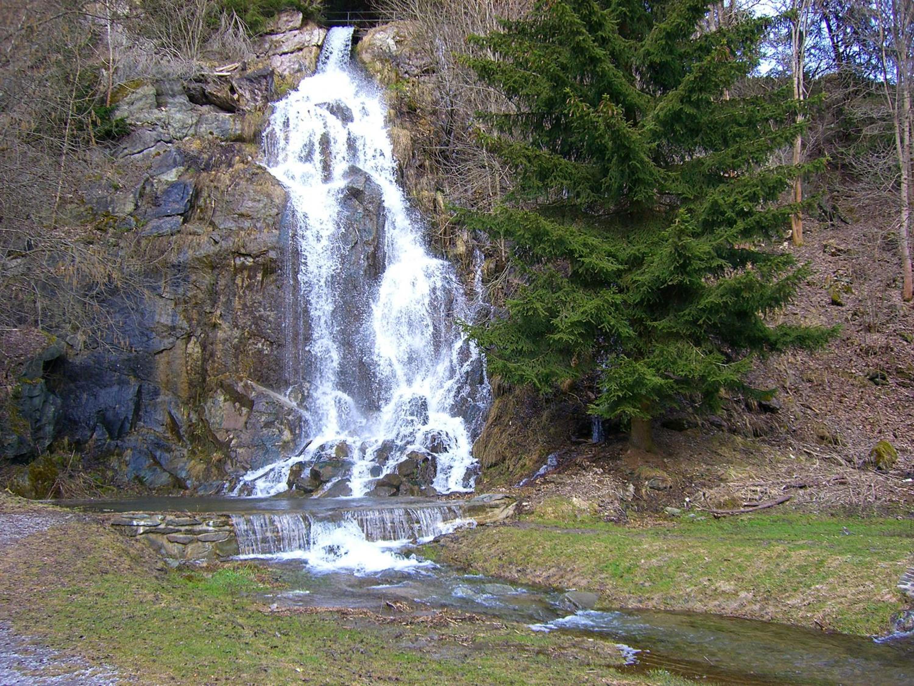 Ferienwohnungen Königshof