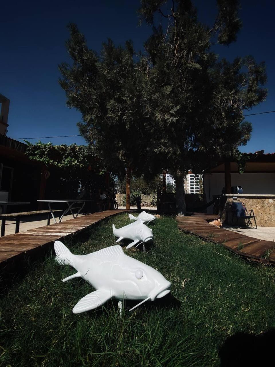 CAMP&HOSTEL Antalya
