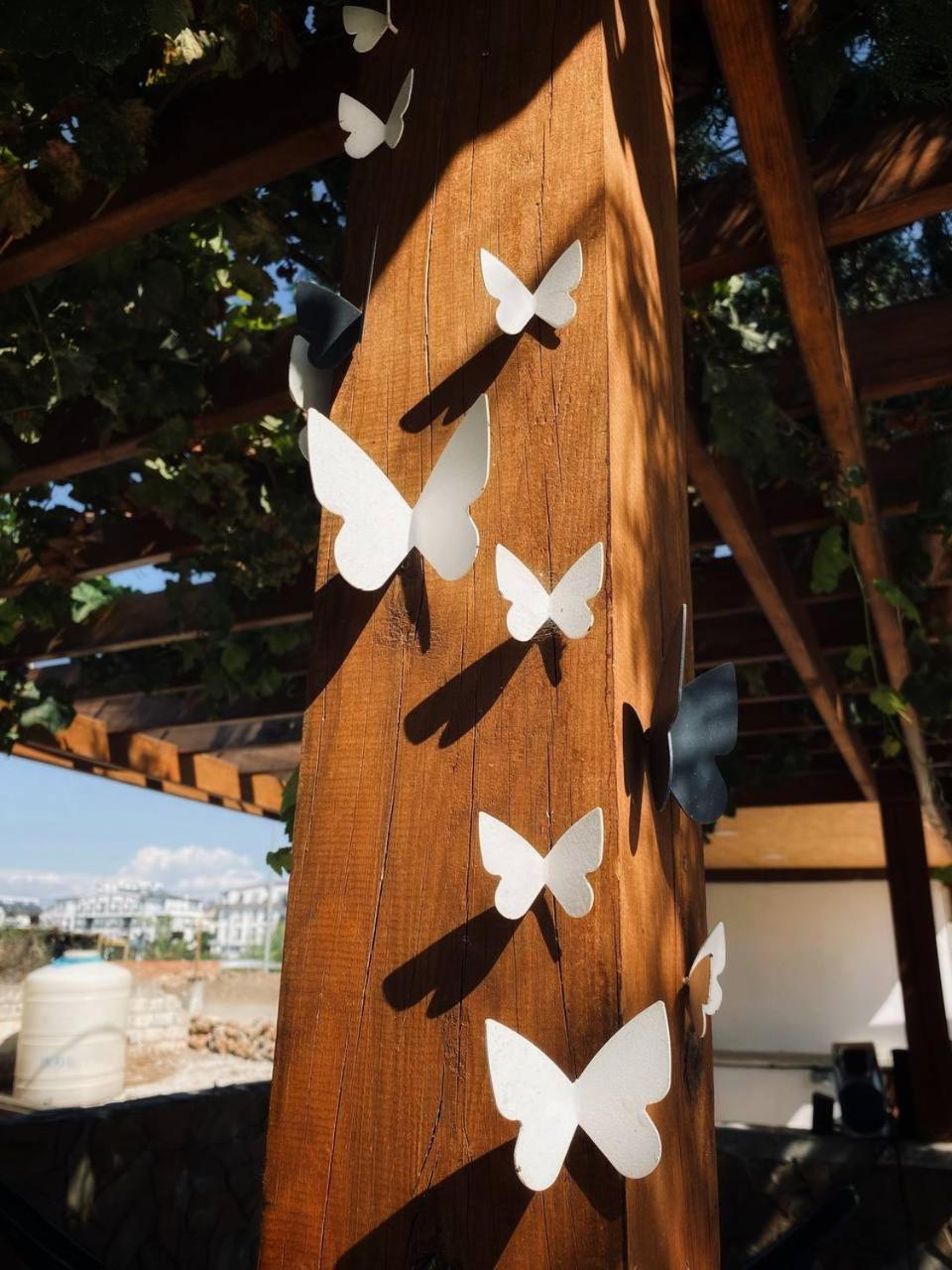 CAMP&HOSTEL Antalya