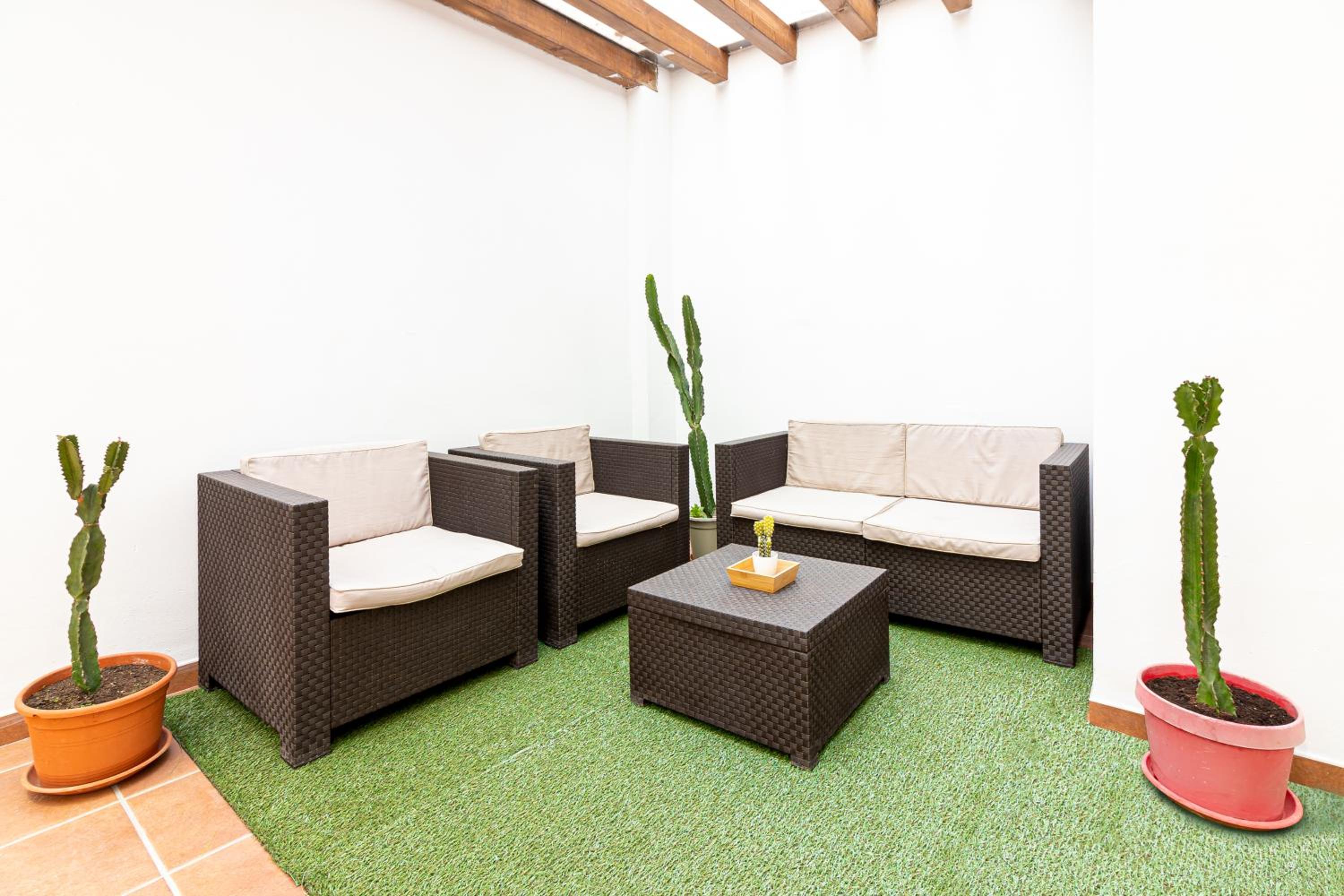 balance & terrace