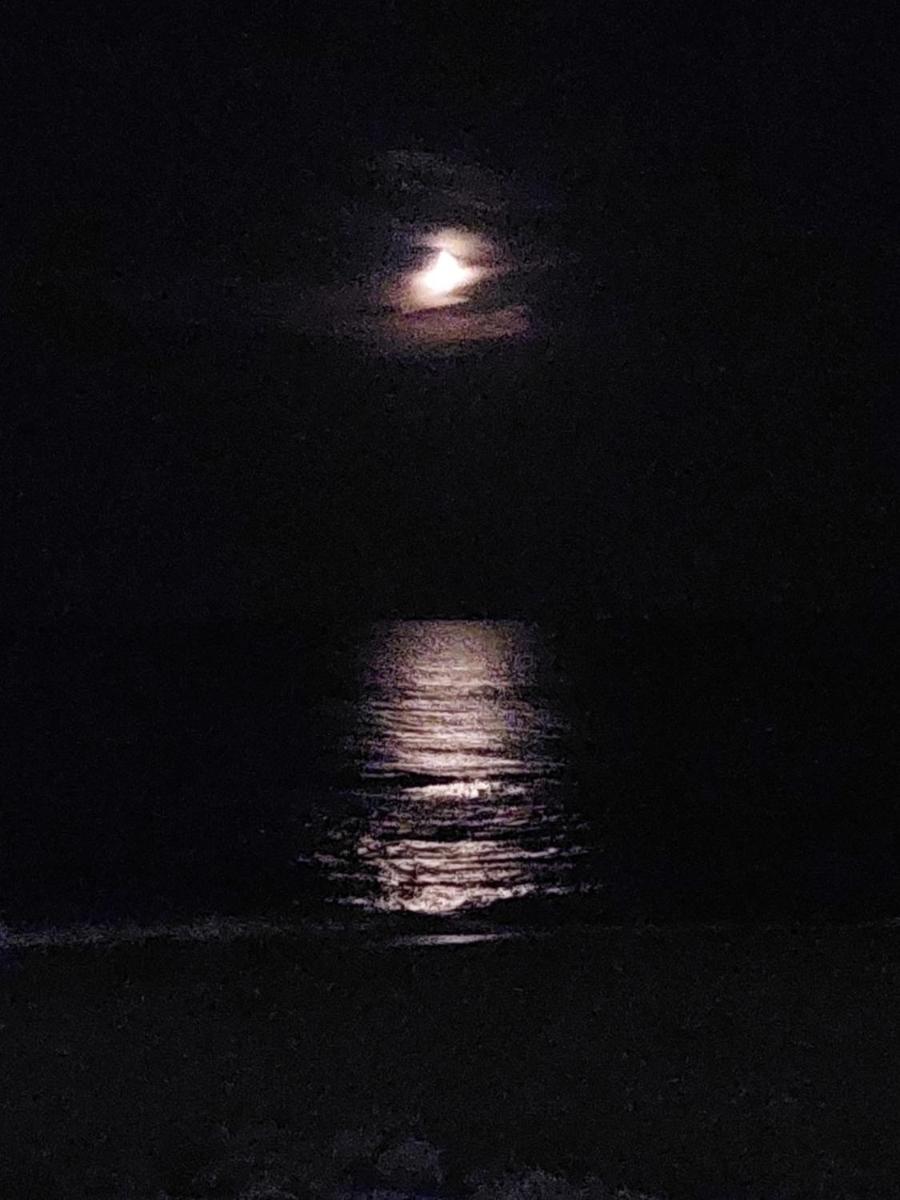 CasAmare