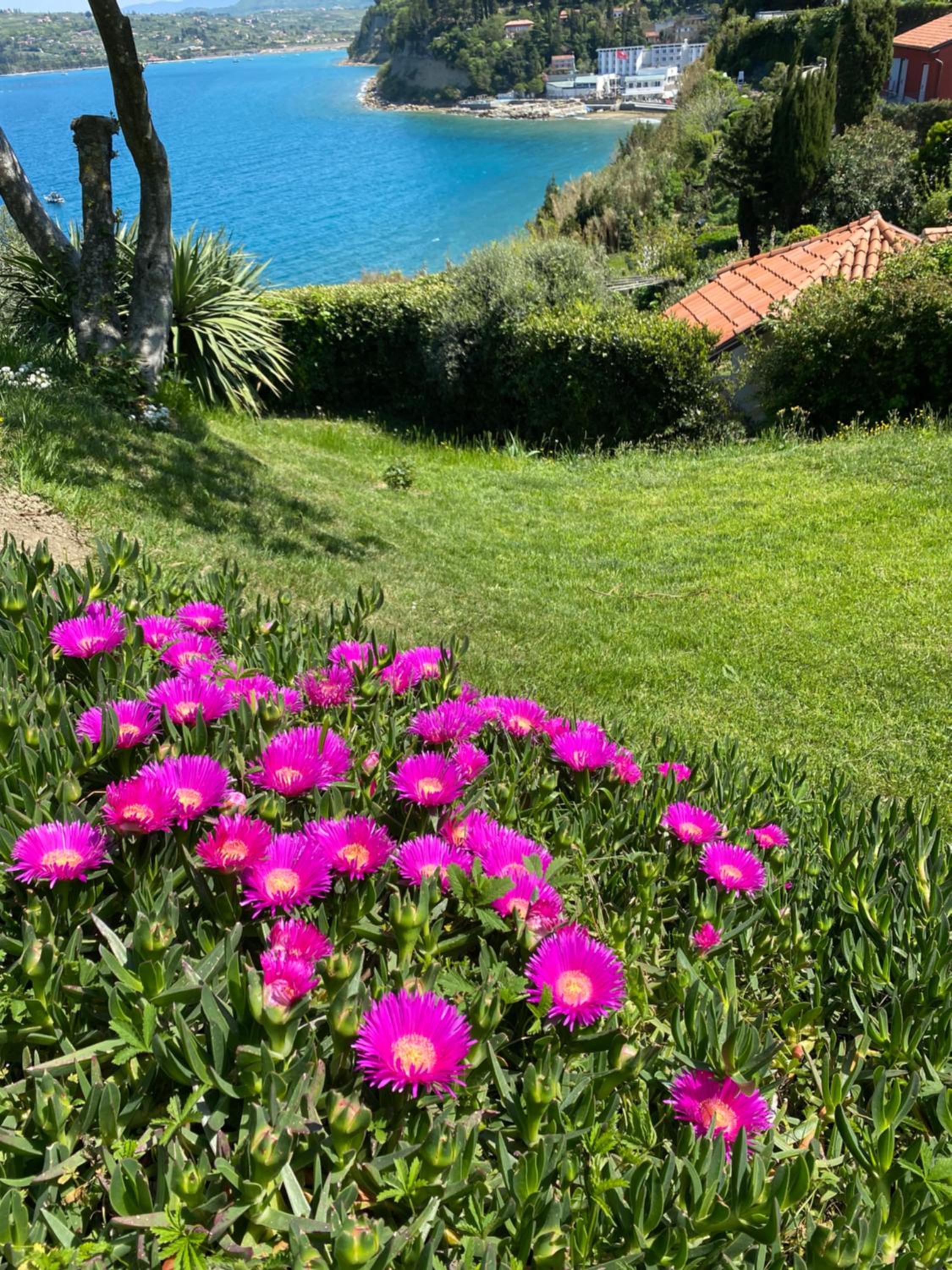 Guest house - počitniška hiška v Fiesi, Piran