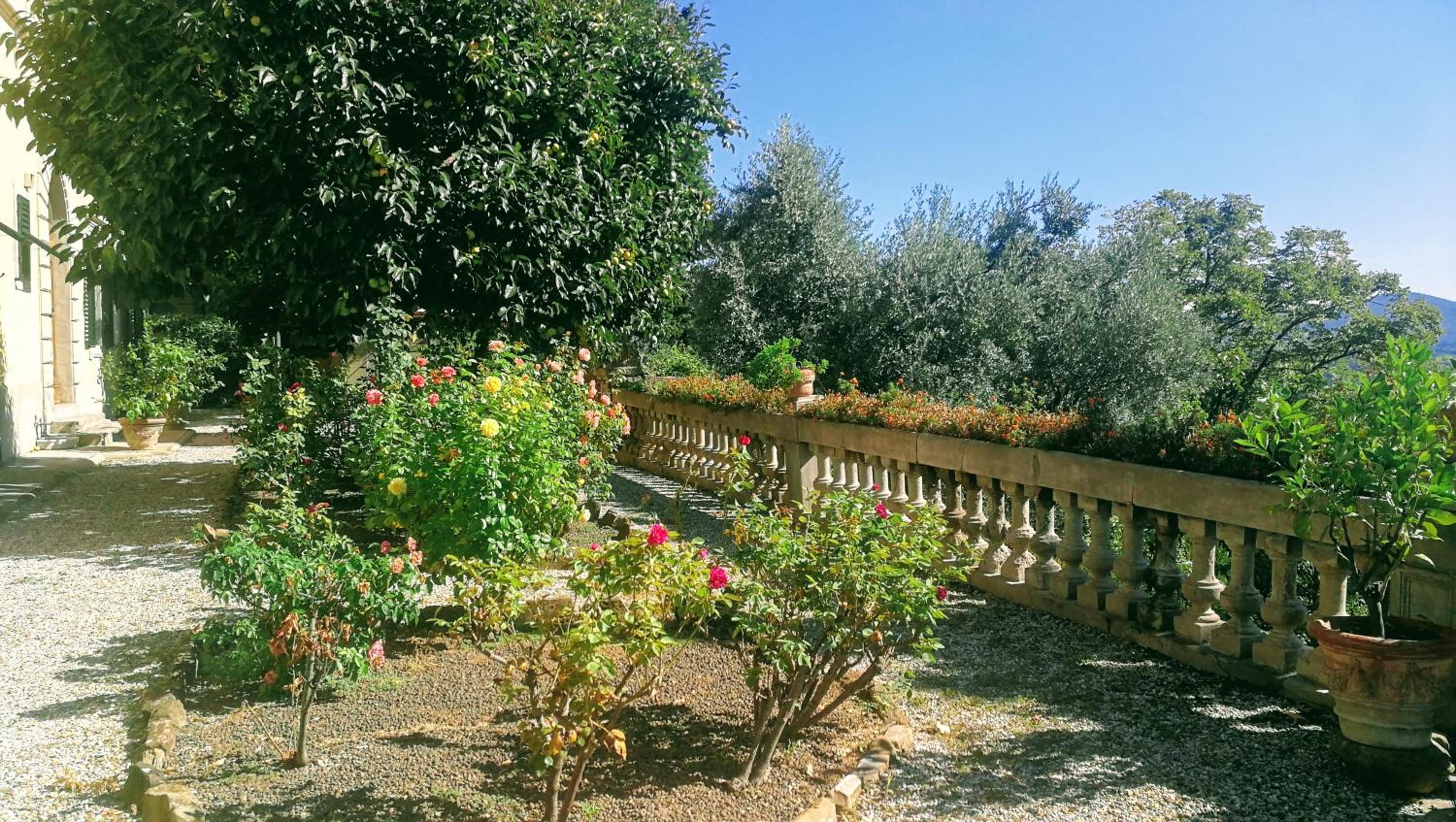 Villa La Piccioncina Firenze