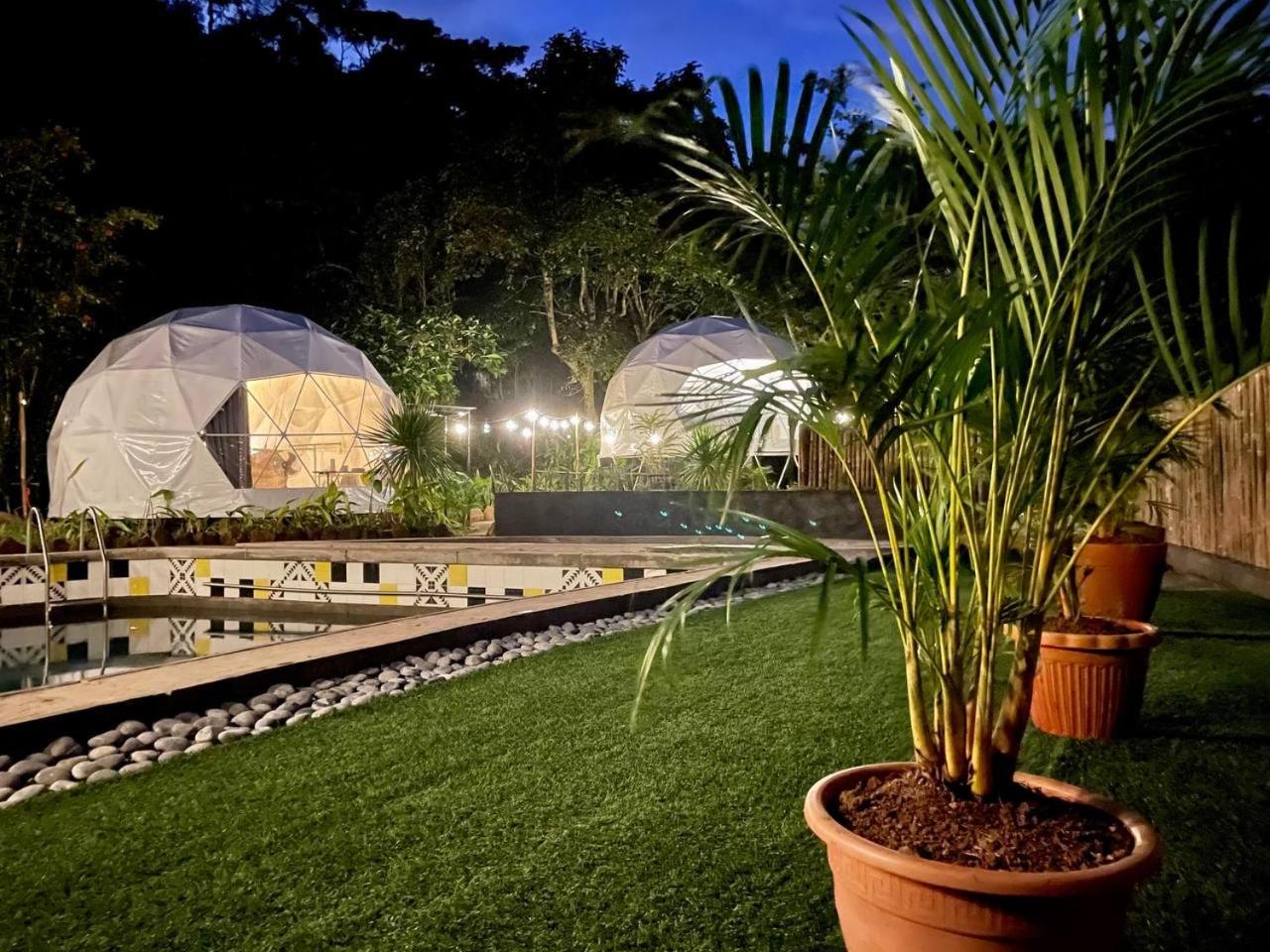Blackwood Nature Villa with Pool and Trail view 5