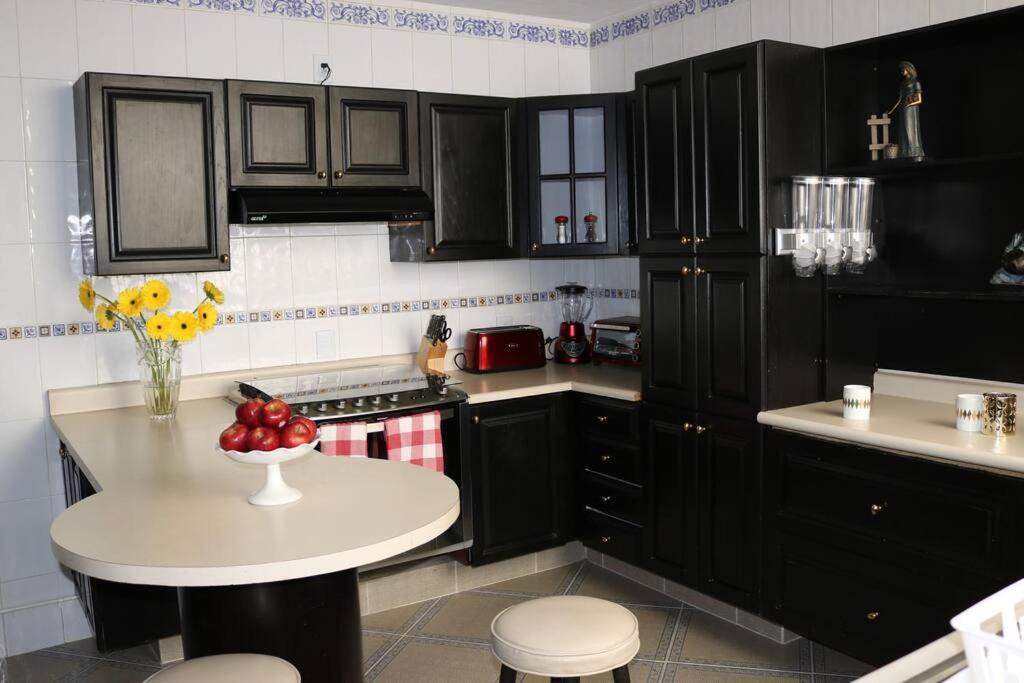 Polanco Lincoln Park Two Bedroom apt view 4