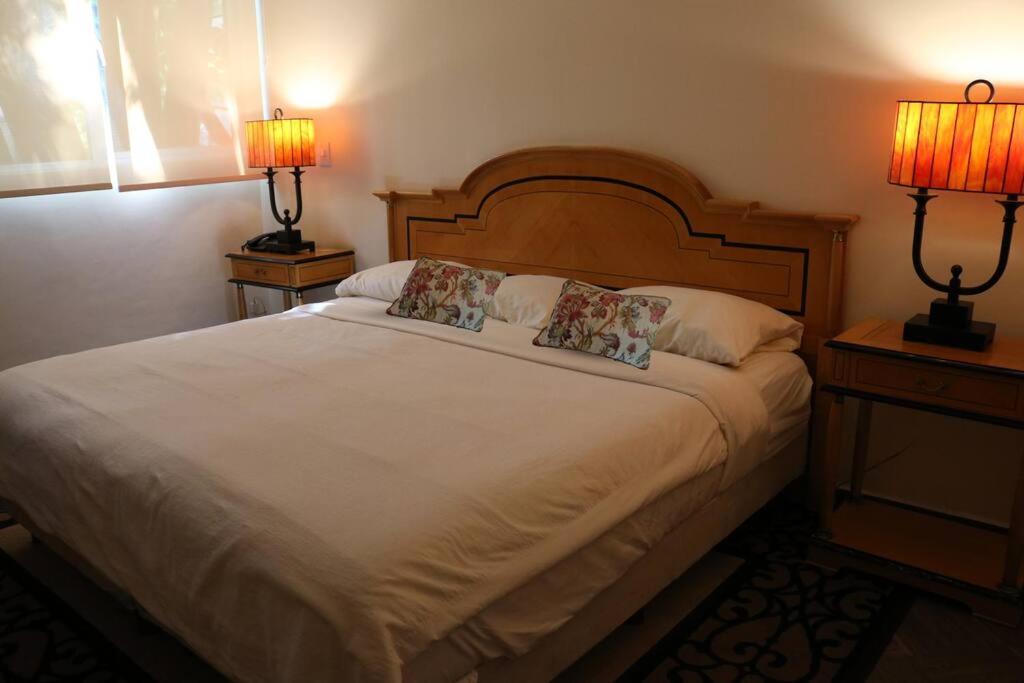 Polanco Lincoln Park Two Bedroom apt view 5