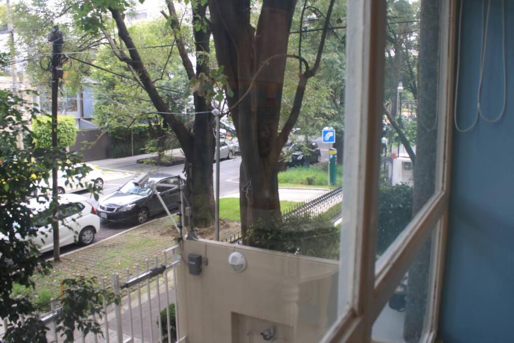 Photo 29