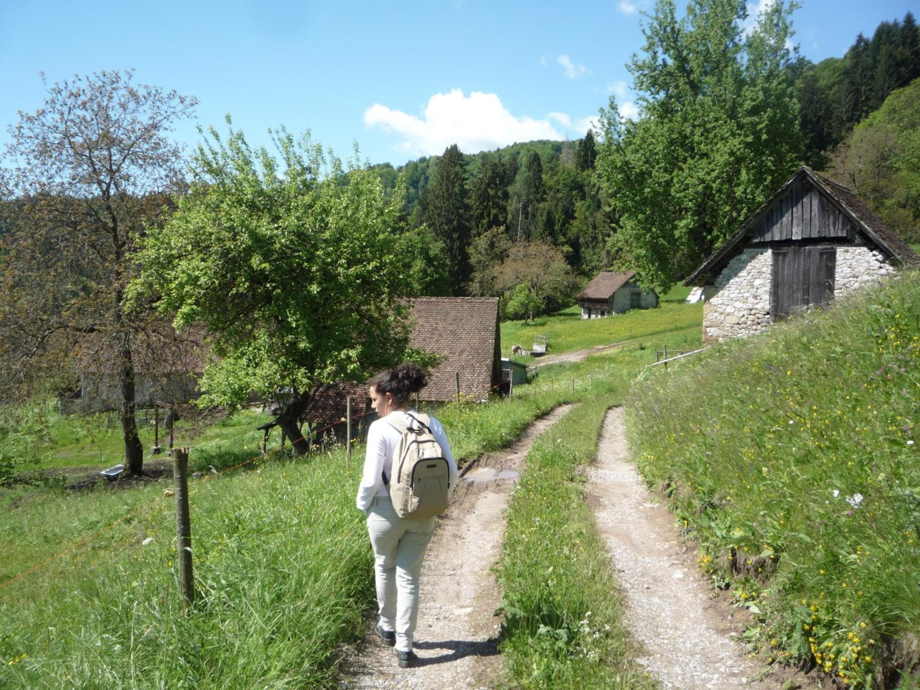 Photo 29