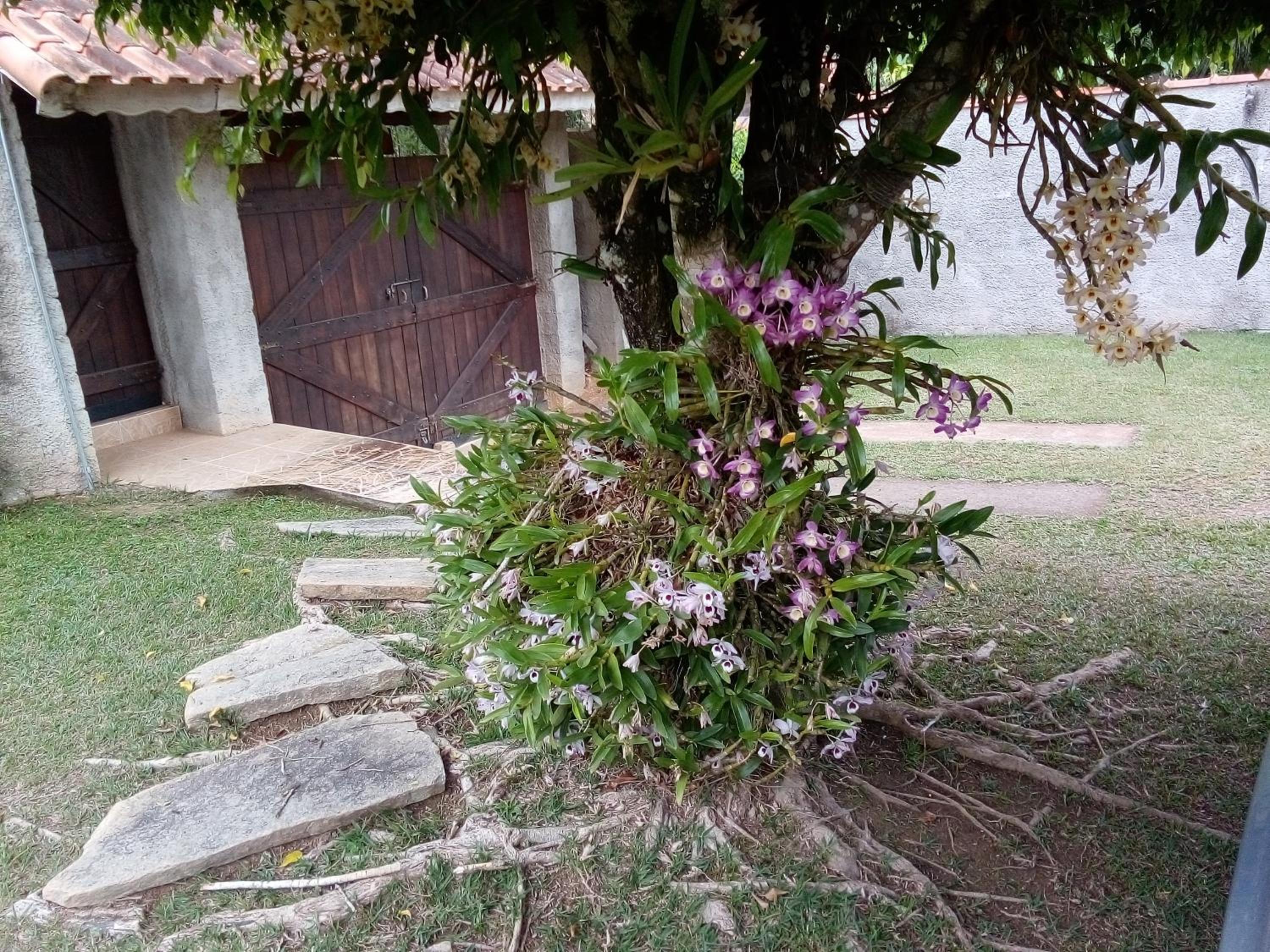 Rancho do Colega