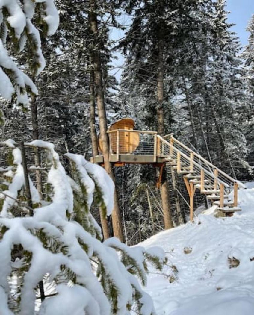 Golden Vacations - Golden Tiny Homes - Property Image 6