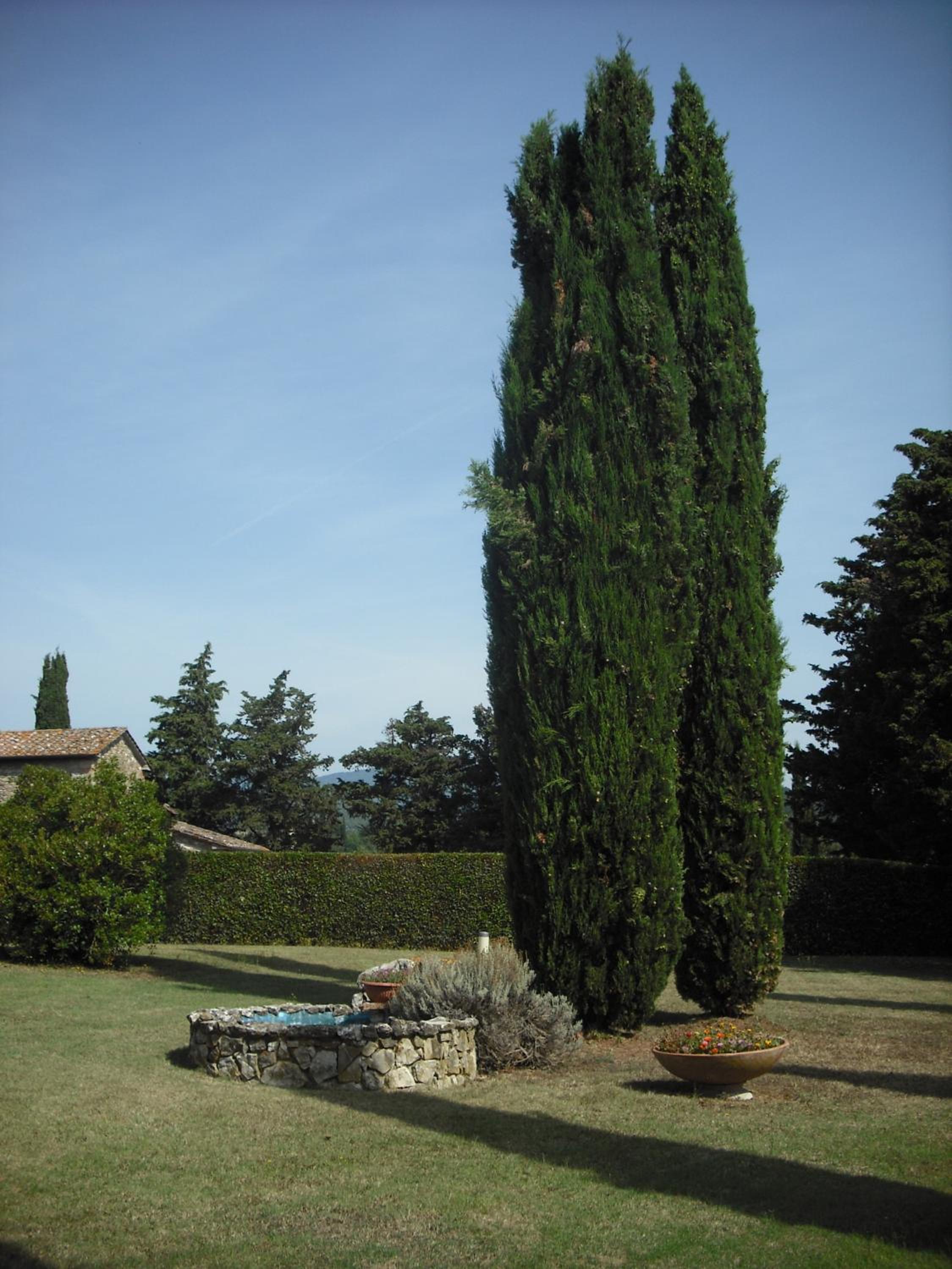 Photo 26