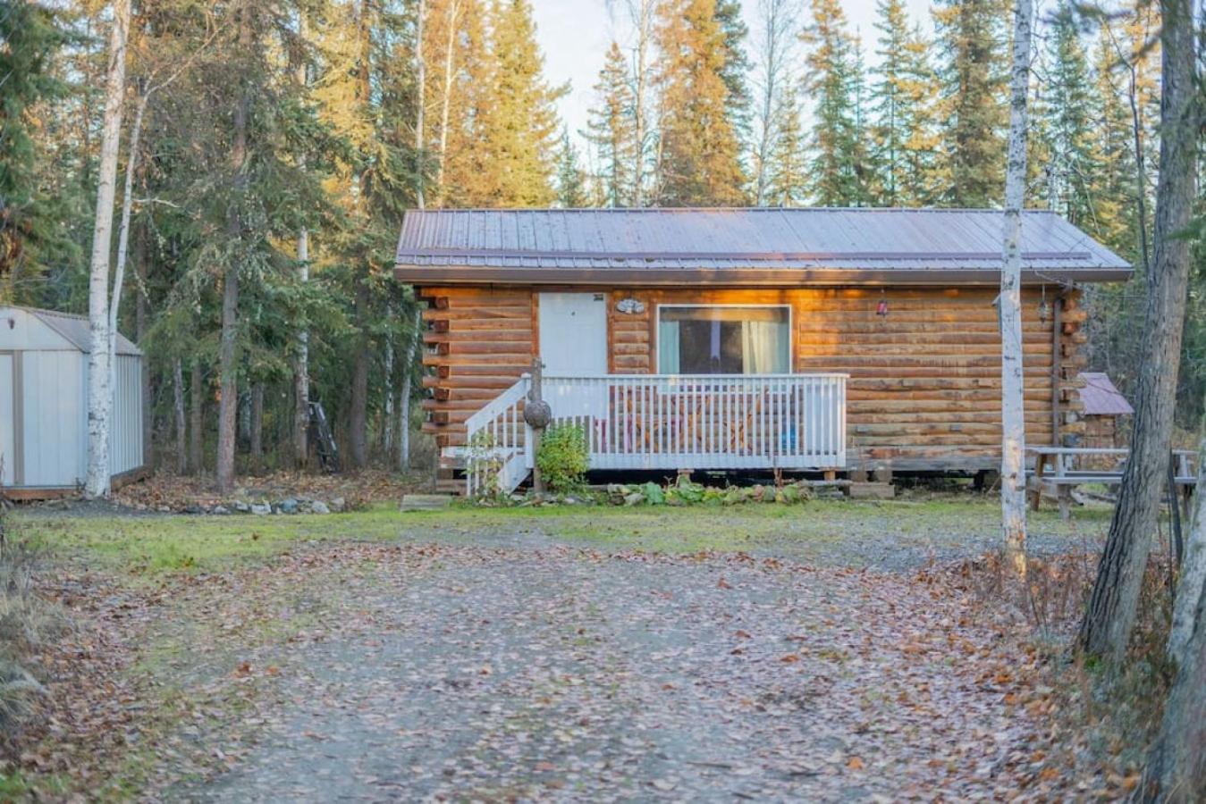 PET FRIENDLY: Private Cabin With Alaskan Charm view 3