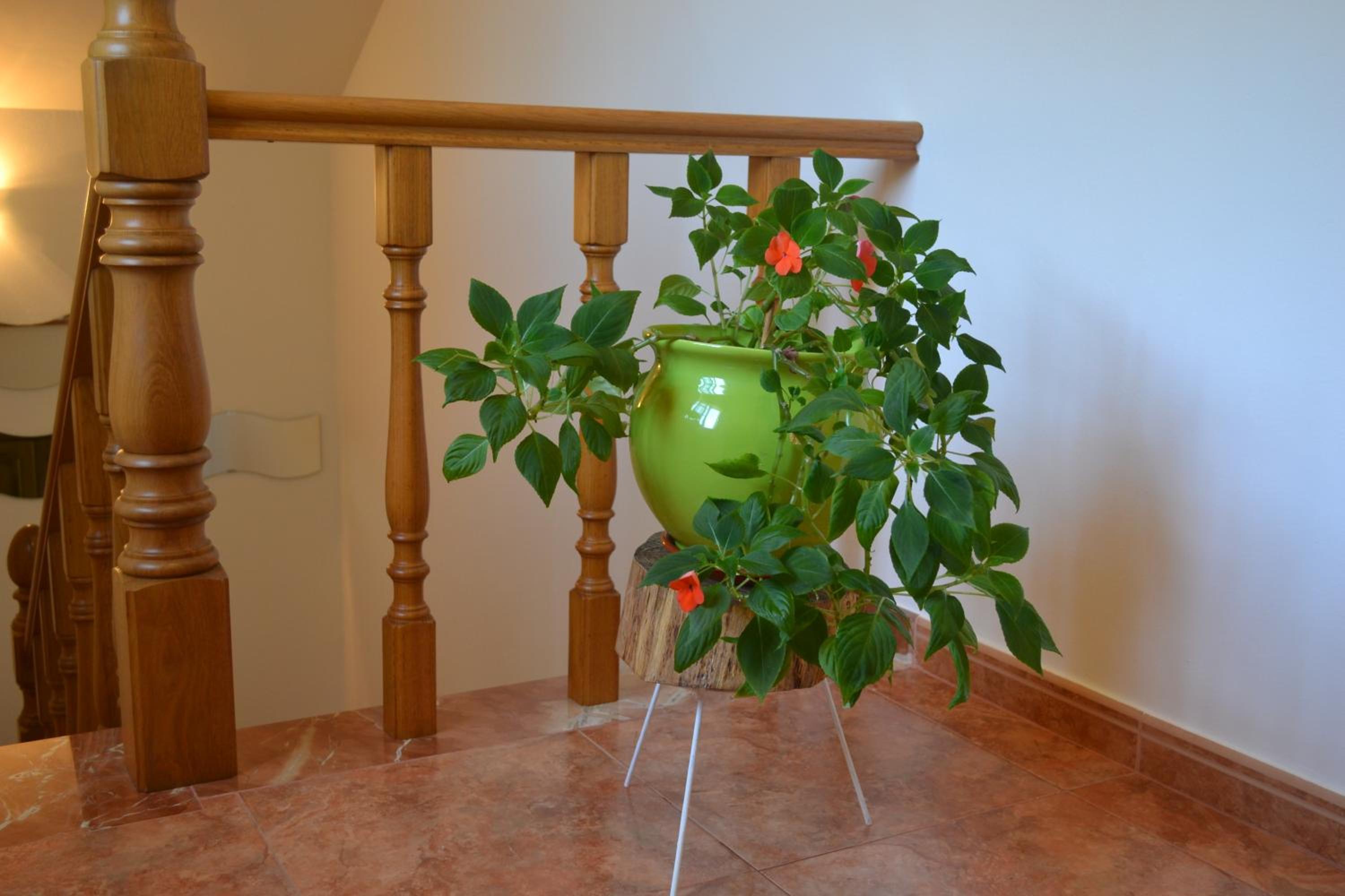 Casa Olivar El Mandarino