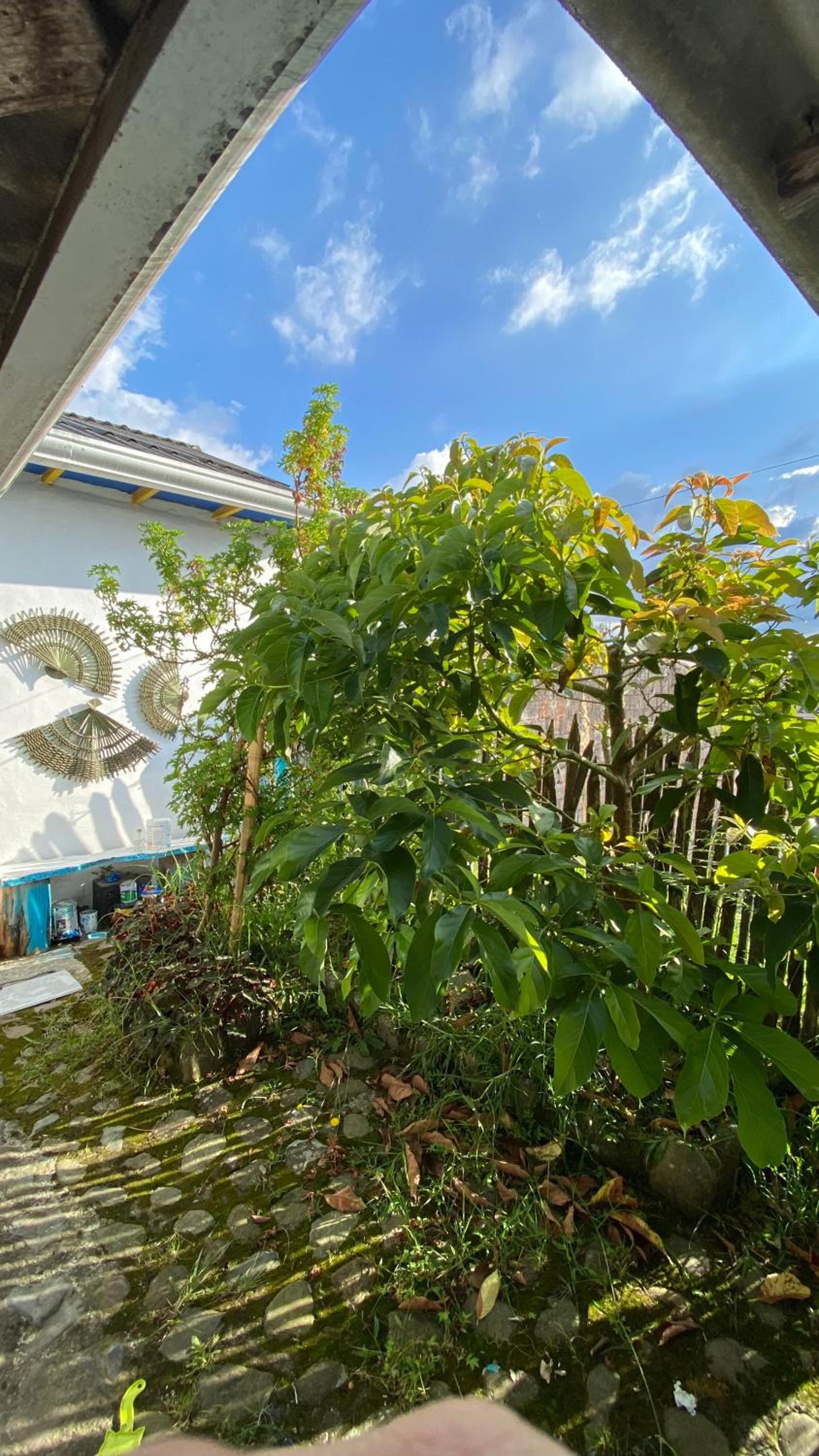 Hostal Familiar Jerico