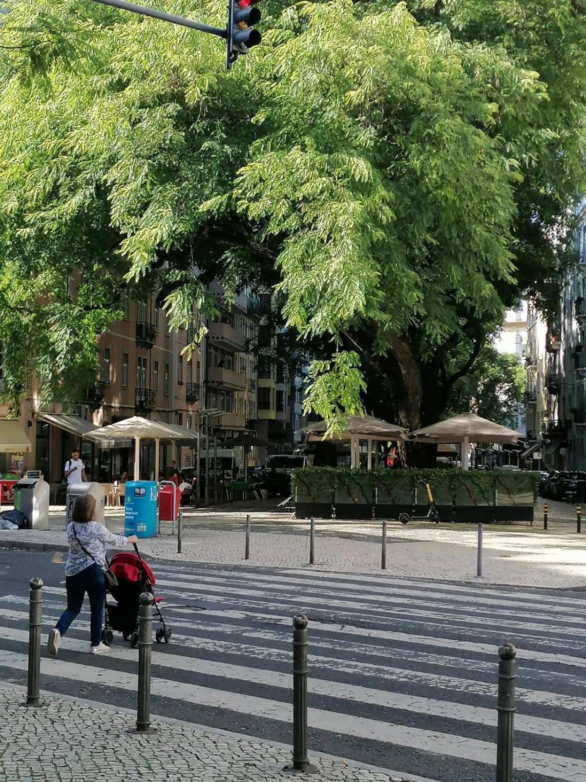 Apartment in Centre of Lisbon near Gulbenkien garden view 5
