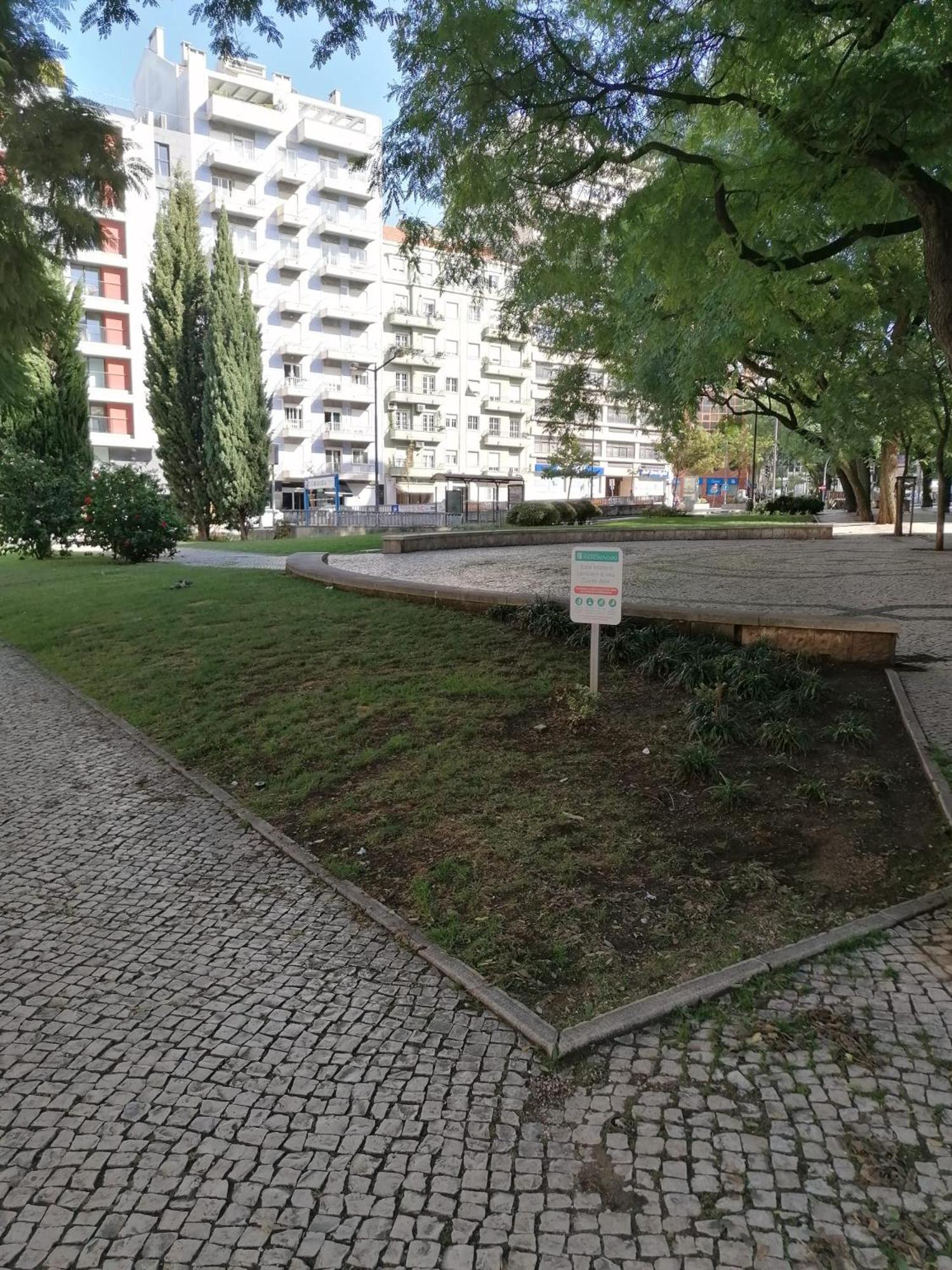 Apartment in Centre of Lisbon near Gulbenkien garden view 4