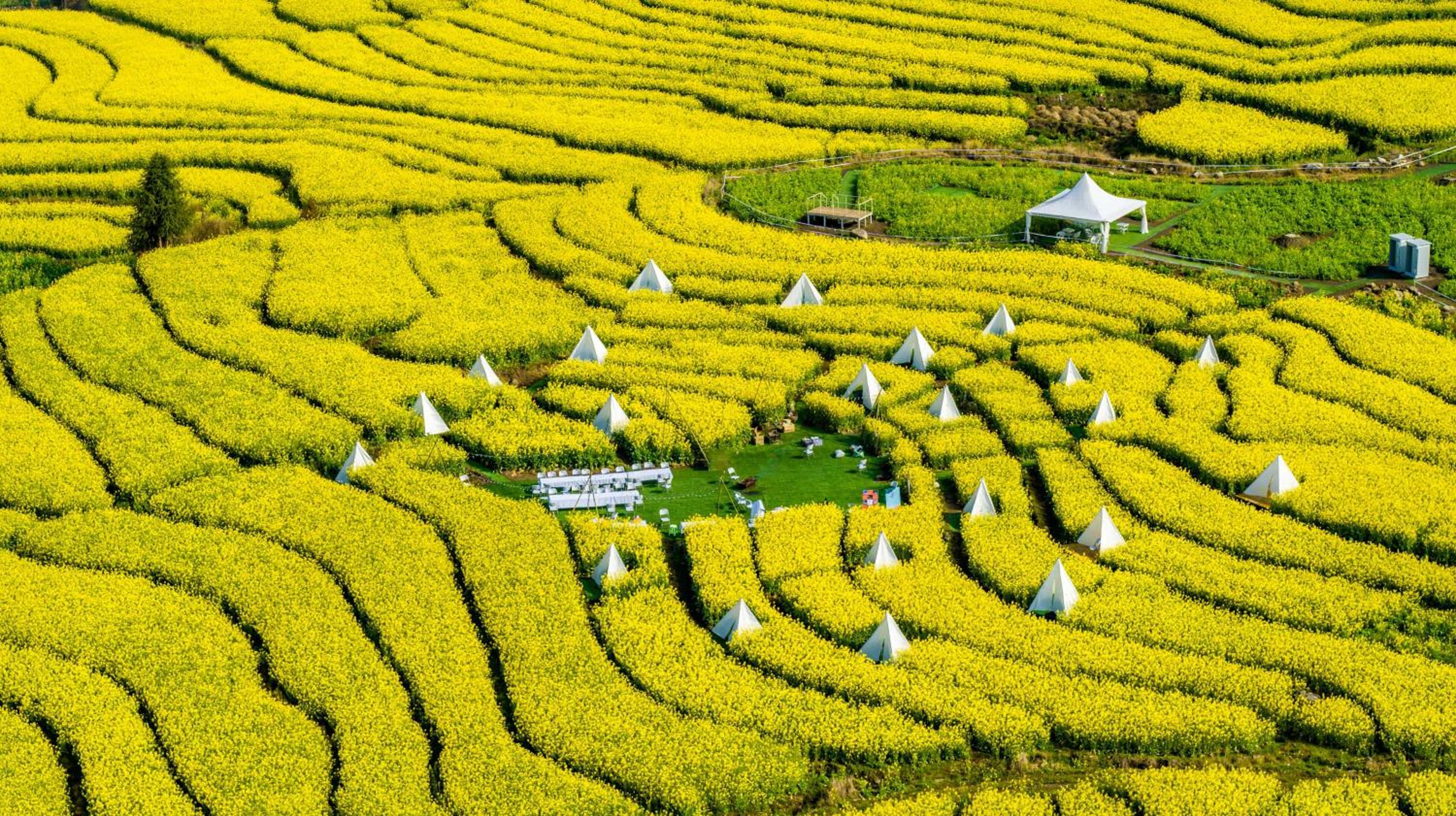 Banyan Tree Tengchong