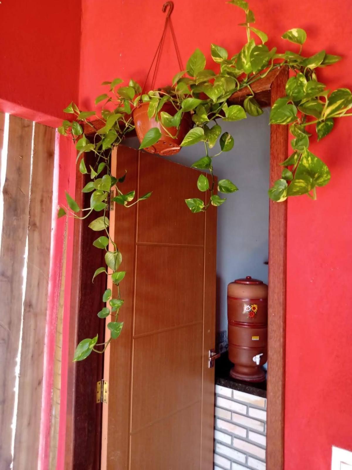 Casa confortável, pertinho da cidade e conectada a natureza