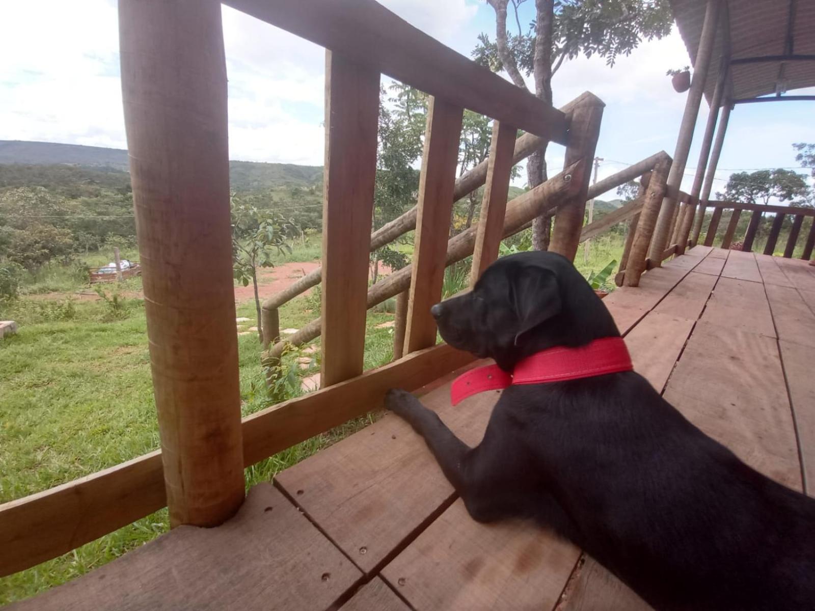 Casa confortável, pertinho da cidade e conectada a natureza