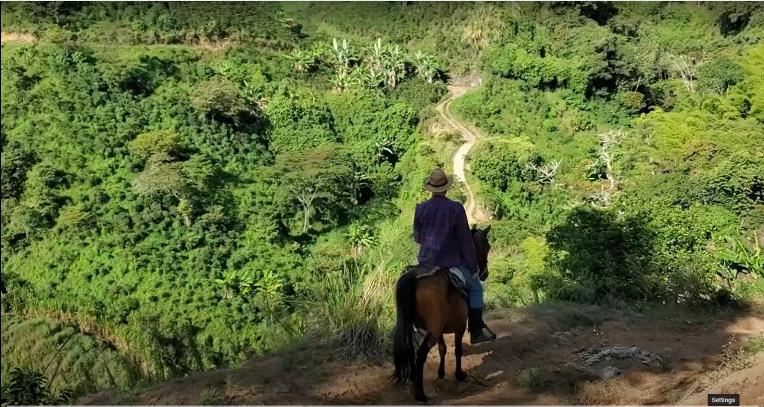 Finca Naya