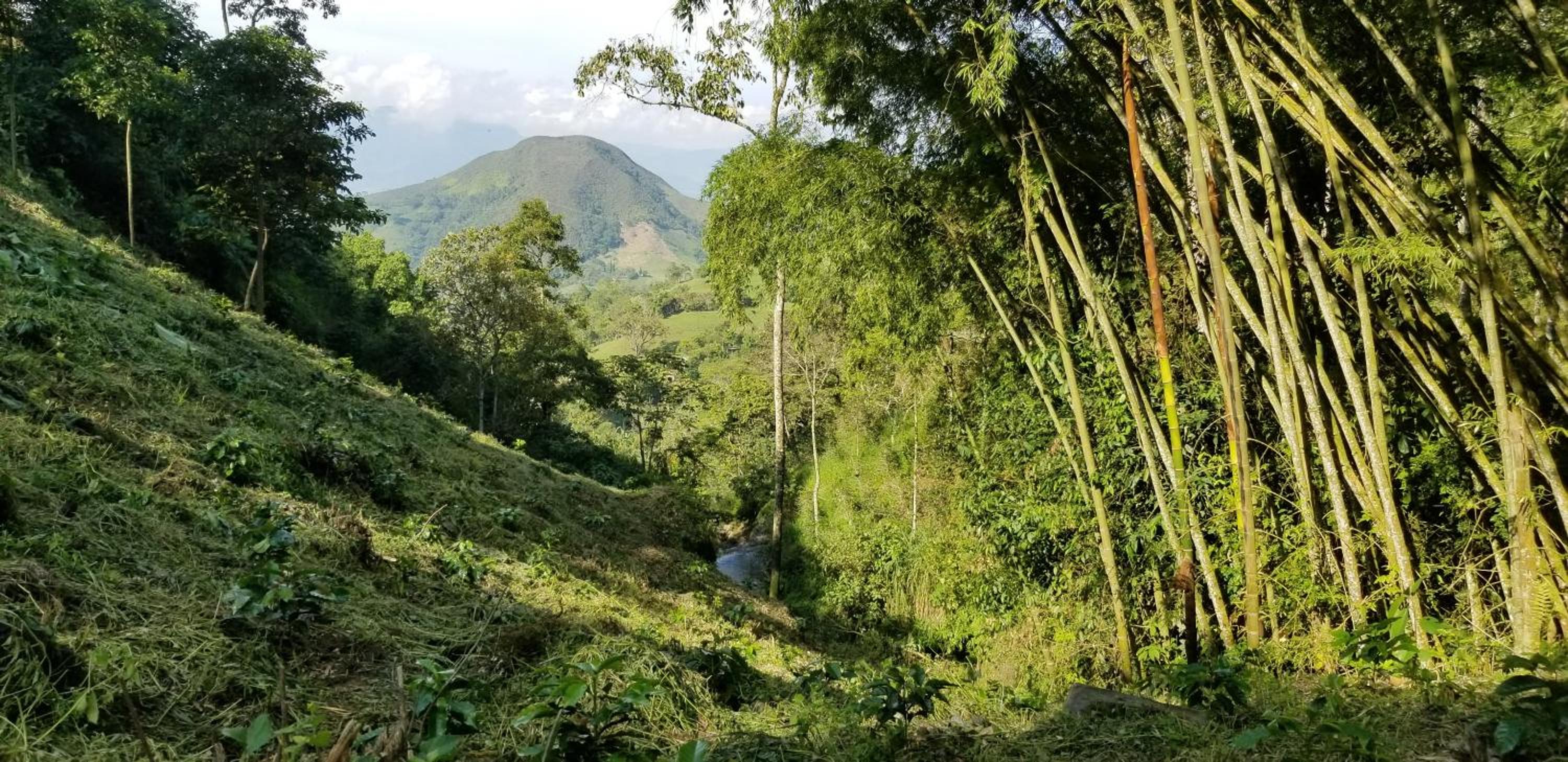 Finca Naya