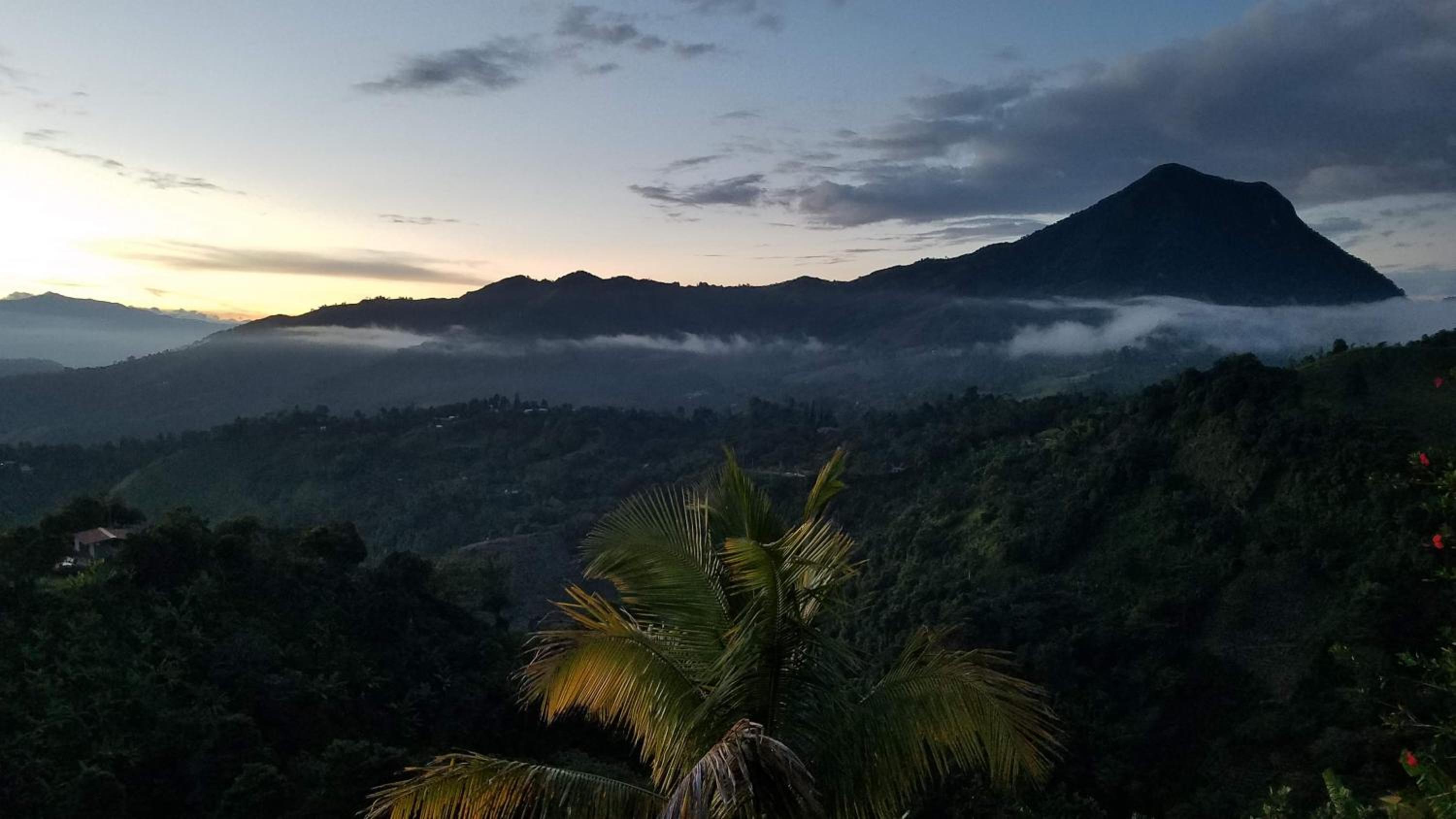 Finca Naya